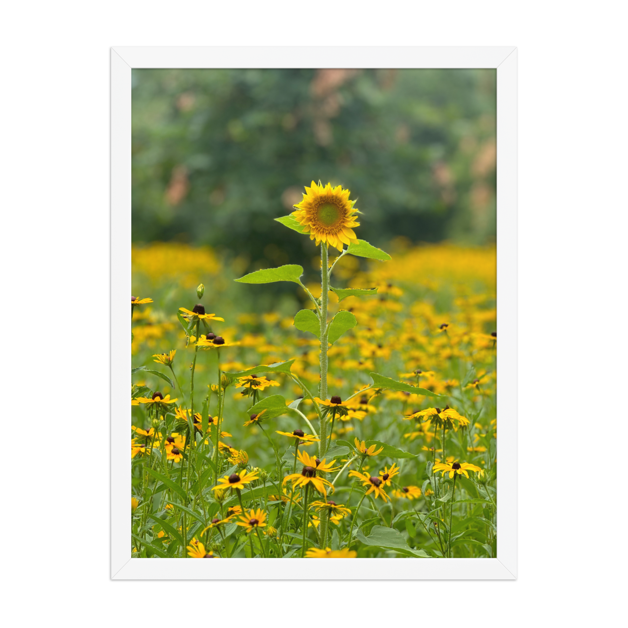 enhanced-matte-paper-framed-poster-(in)-white-18x24-front-6872eafe9a2ac.png