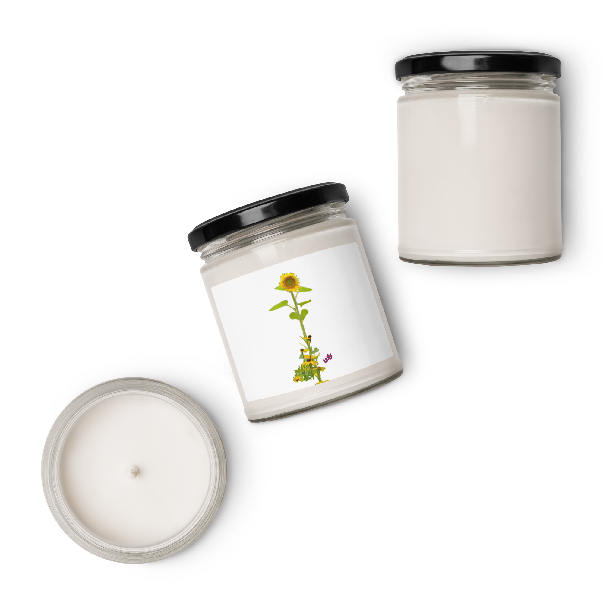 scented-soy-candle,-9oz-apple-harvest-front-68742c5ae24be.png