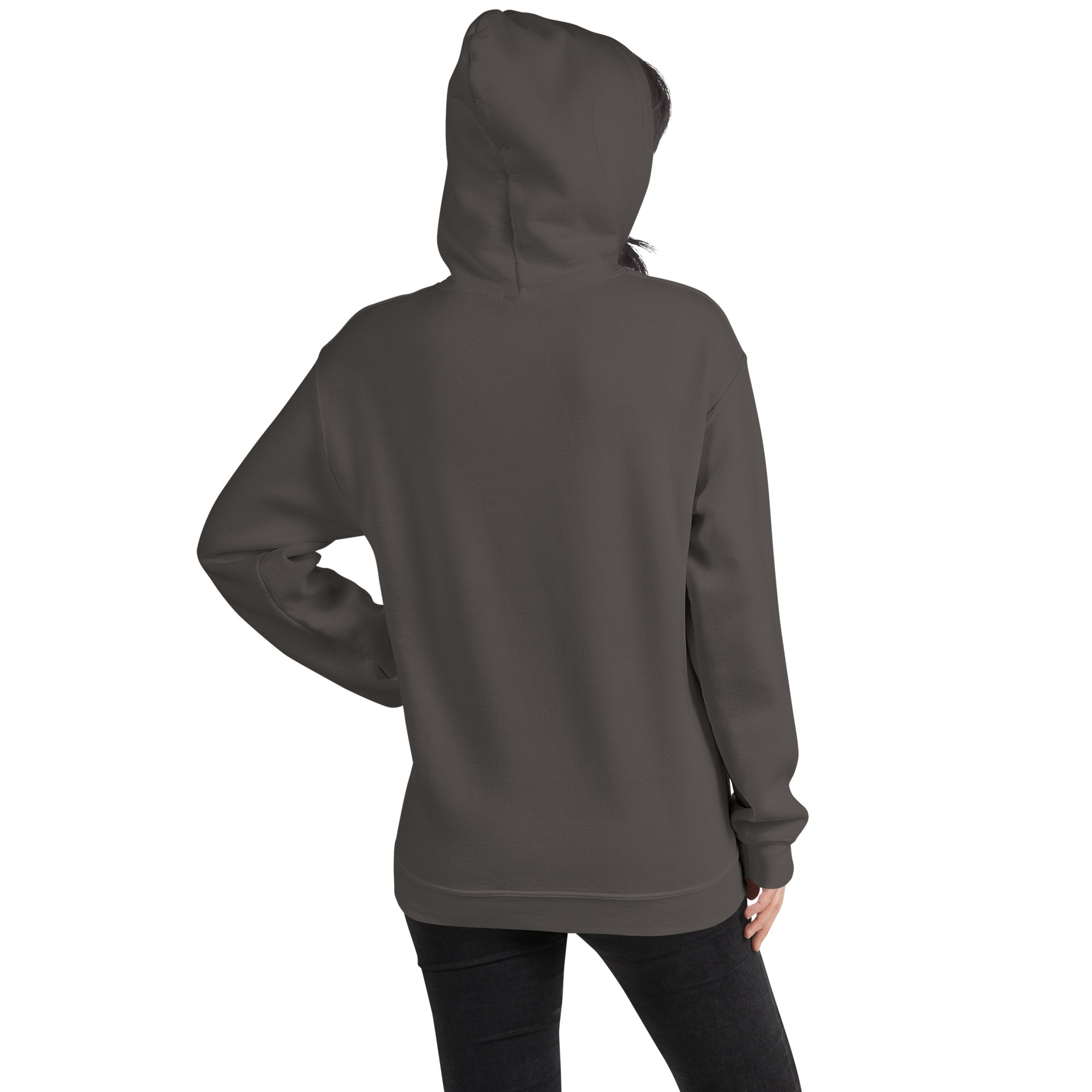 unisex-heavy-blend-hoodie-charcoal-back-69f658ce309e9.png