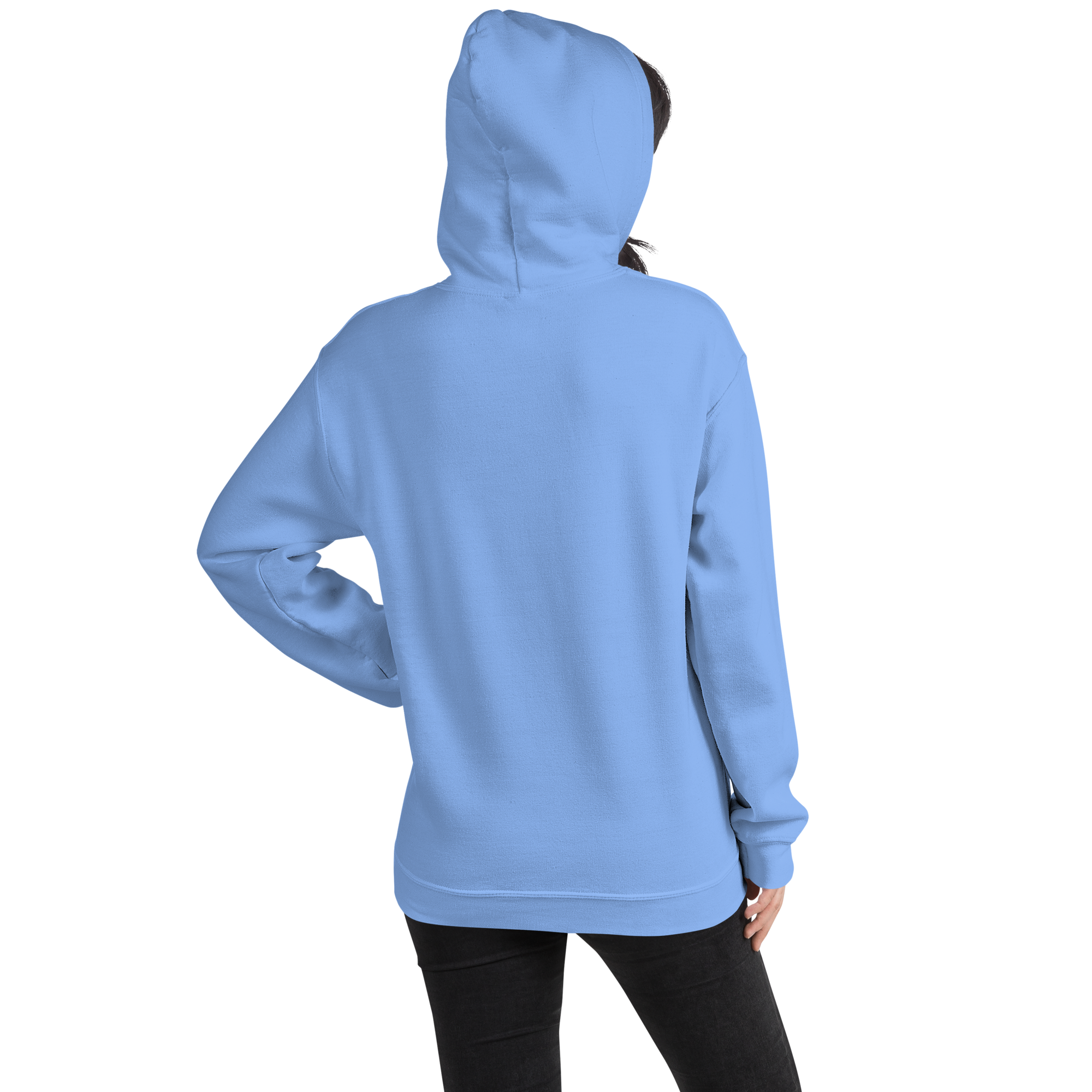 unisex-heavy-blend-hoodie-carolina-blue-back-69f658ce30924.png