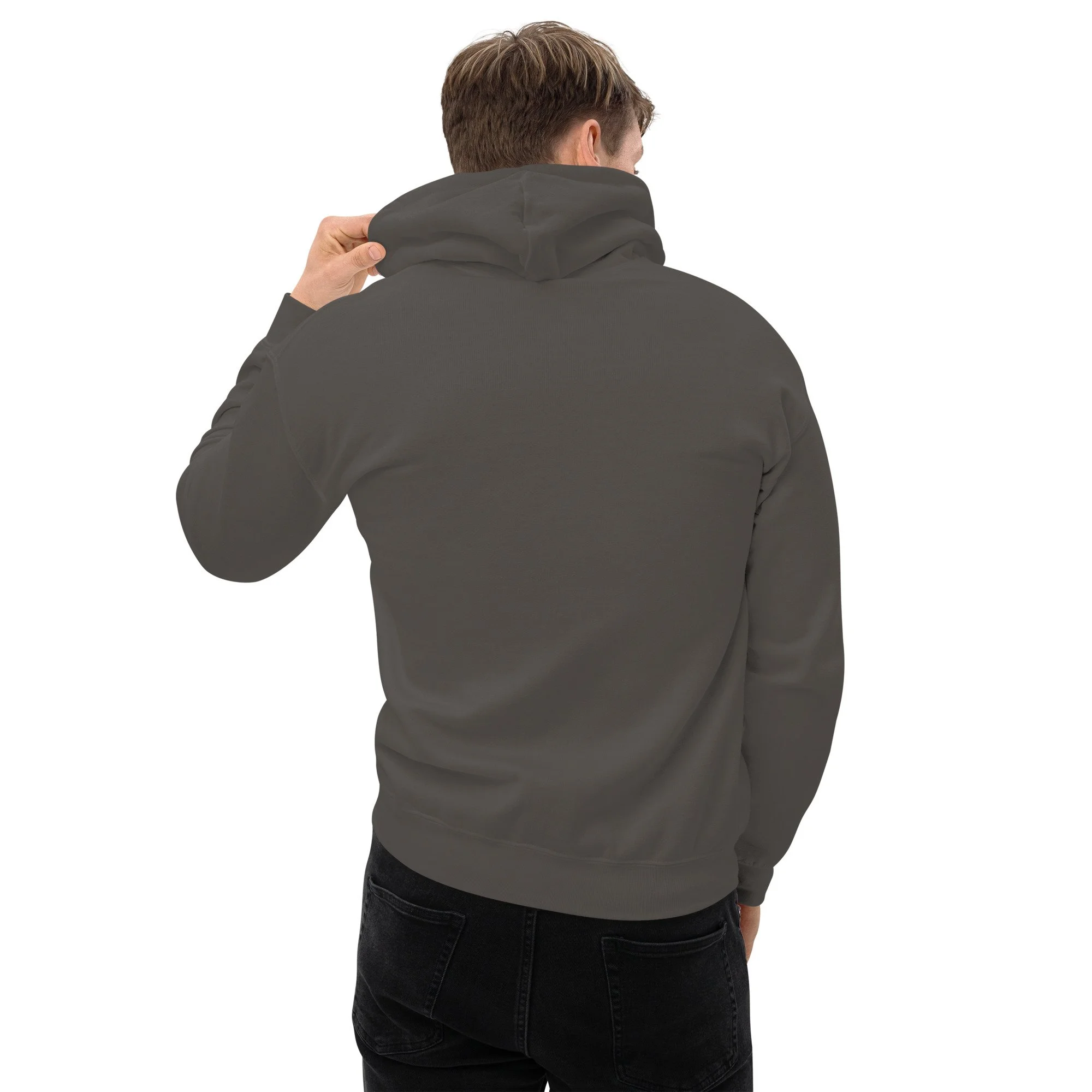unisex-heavy-blend-hoodie-charcoal-back-69f79245f1064.jpg