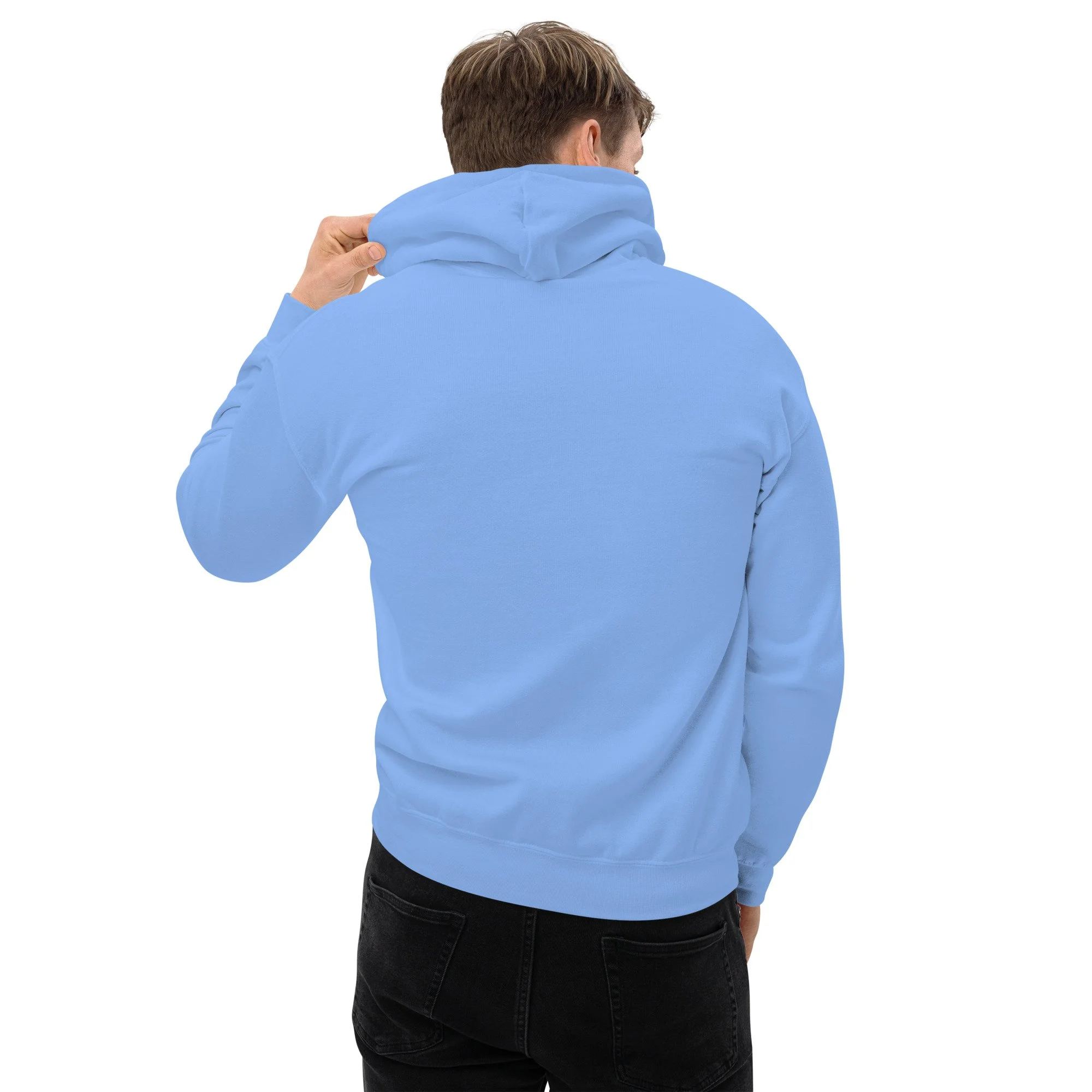 unisex-heavy-blend-hoodie-carolina-blue-back-69f79245f0fd0.jpg