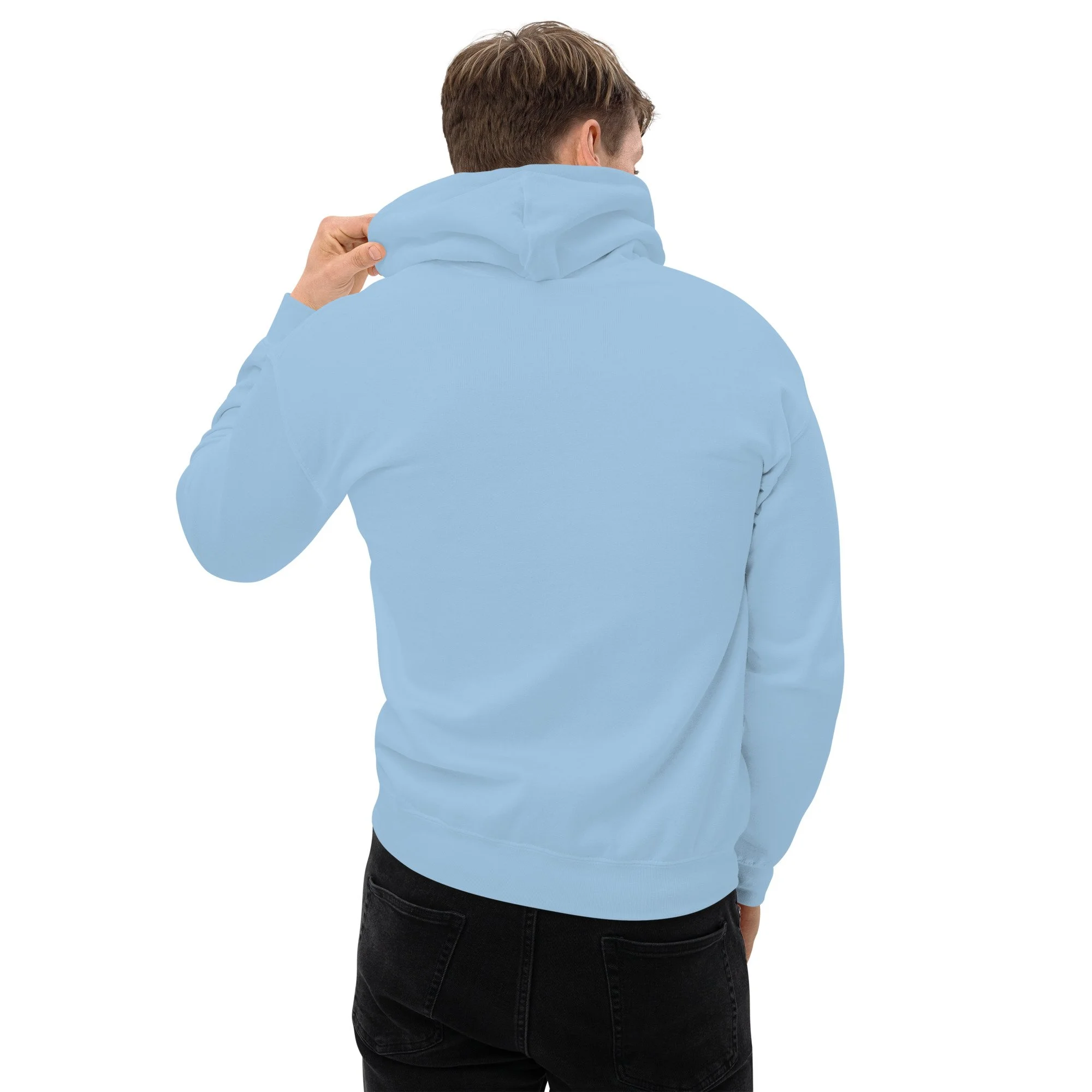 unisex-heavy-blend-hoodie-light-blue-back-69f79245f1374.jpg