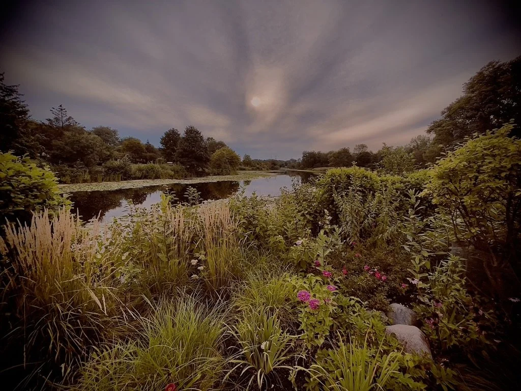 A peaceful river scene at sunset with lush greenery, flowering bushes, and a cloudy sky.