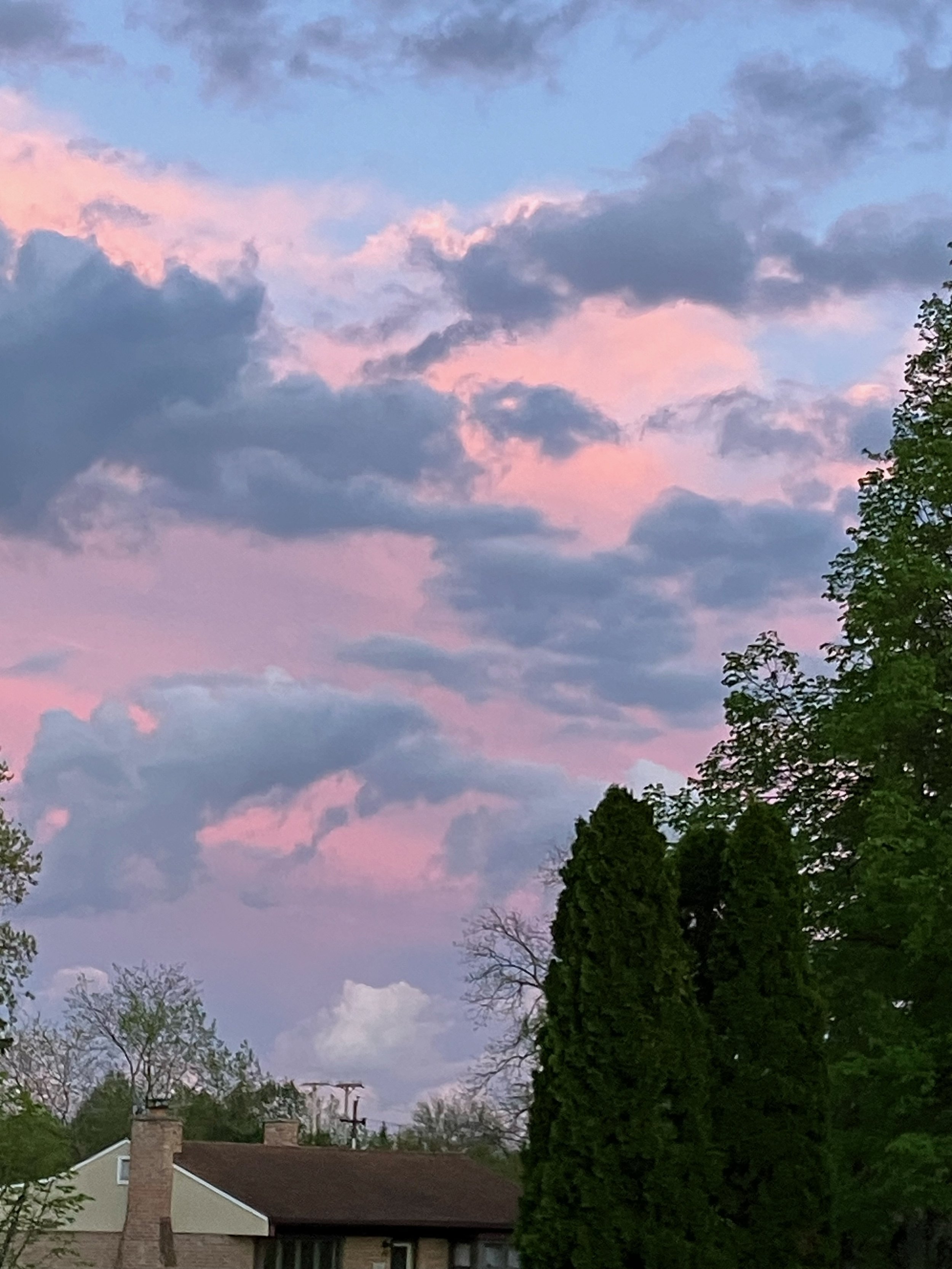 Pink Twilight