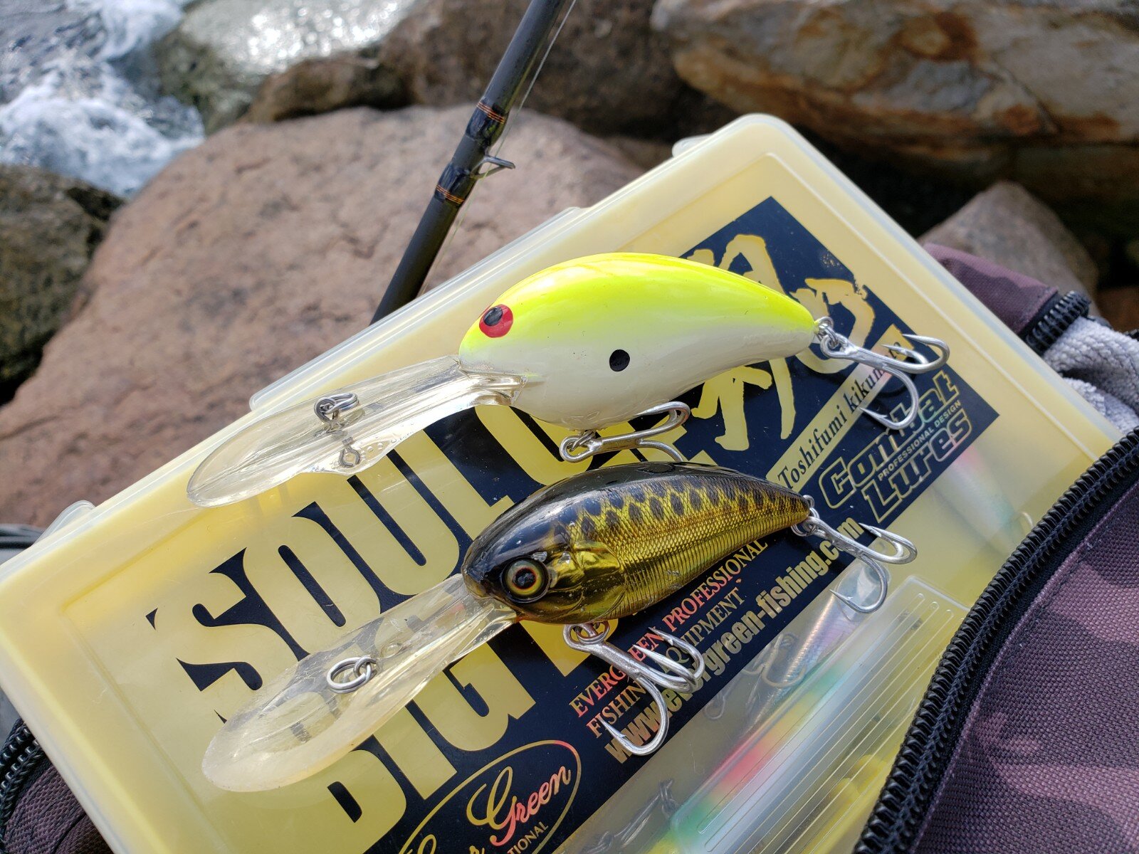 crankbait fishing