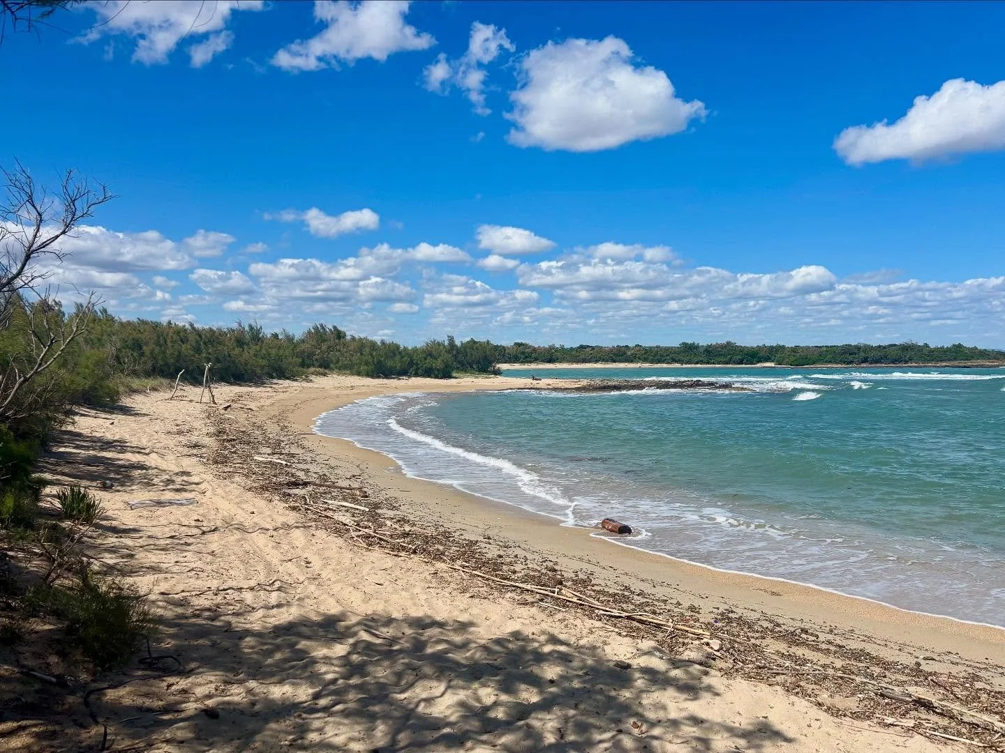 I've been quiet all summer as I worked towards my MA Translation dissertation deadline. A highlight was touring @torreguaceto, a special marine reserve which is close to my heart and subject of my website translation project. I've gained valuable spe