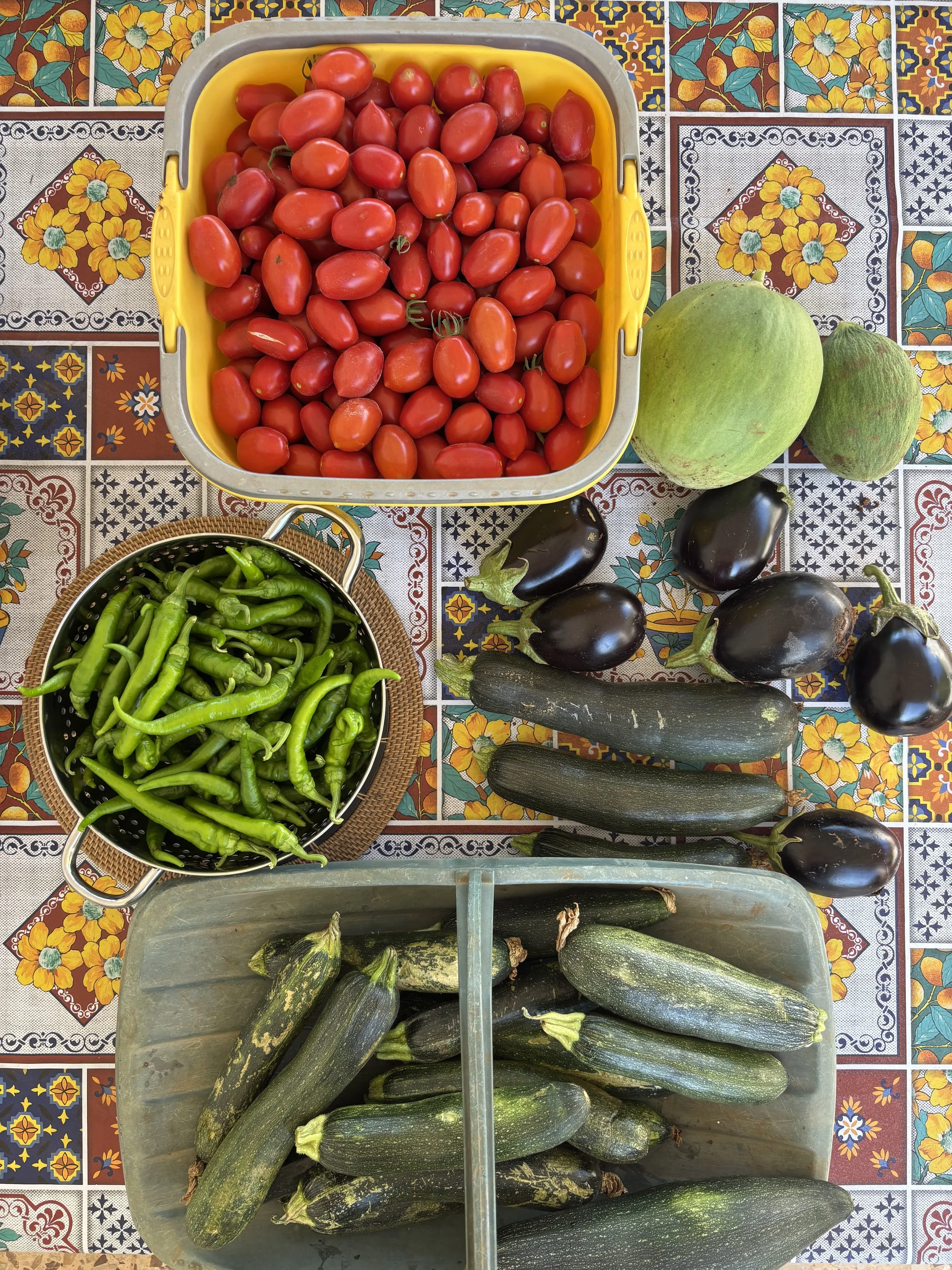 Buon appetito! Why the words behind Italian food and drink matter