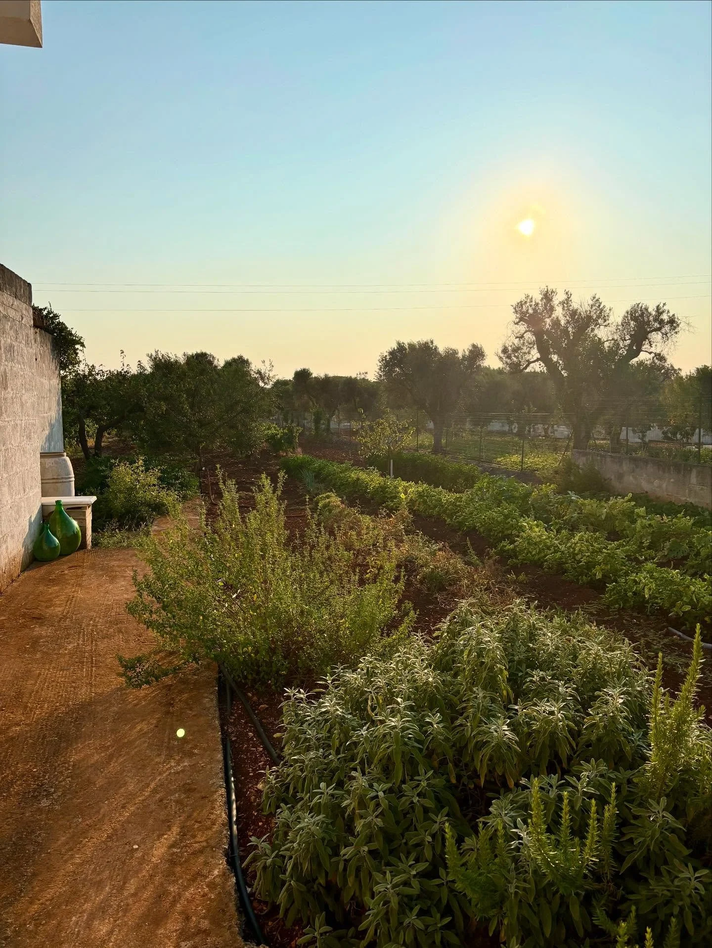 Returning to Puglia on Wednesday for a few weeks! There&rsquo;s nothing better than summer spent in Italy for me. Hoping to meet up with some lovely colleagues while I&rsquo;m there. I&rsquo;ve also got a couple of exciting projects to work on from o