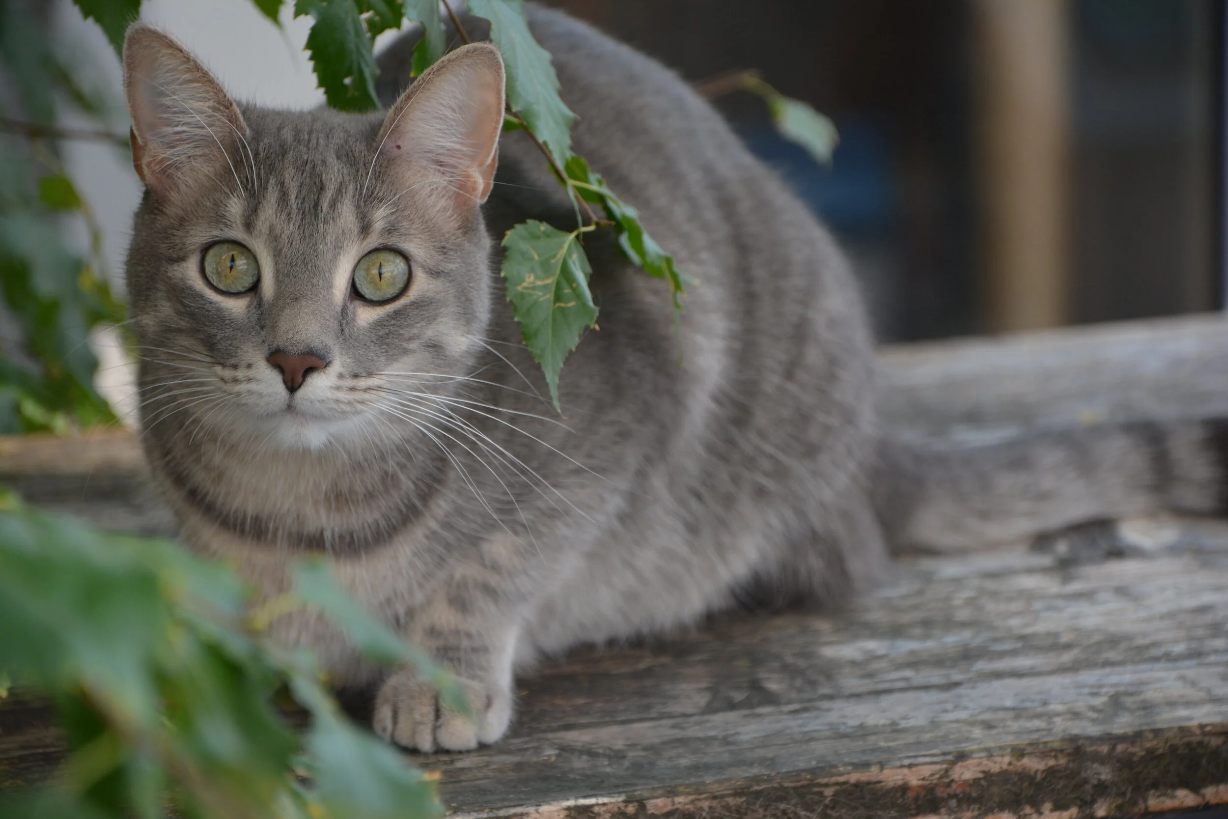 DSC_3413.JPG