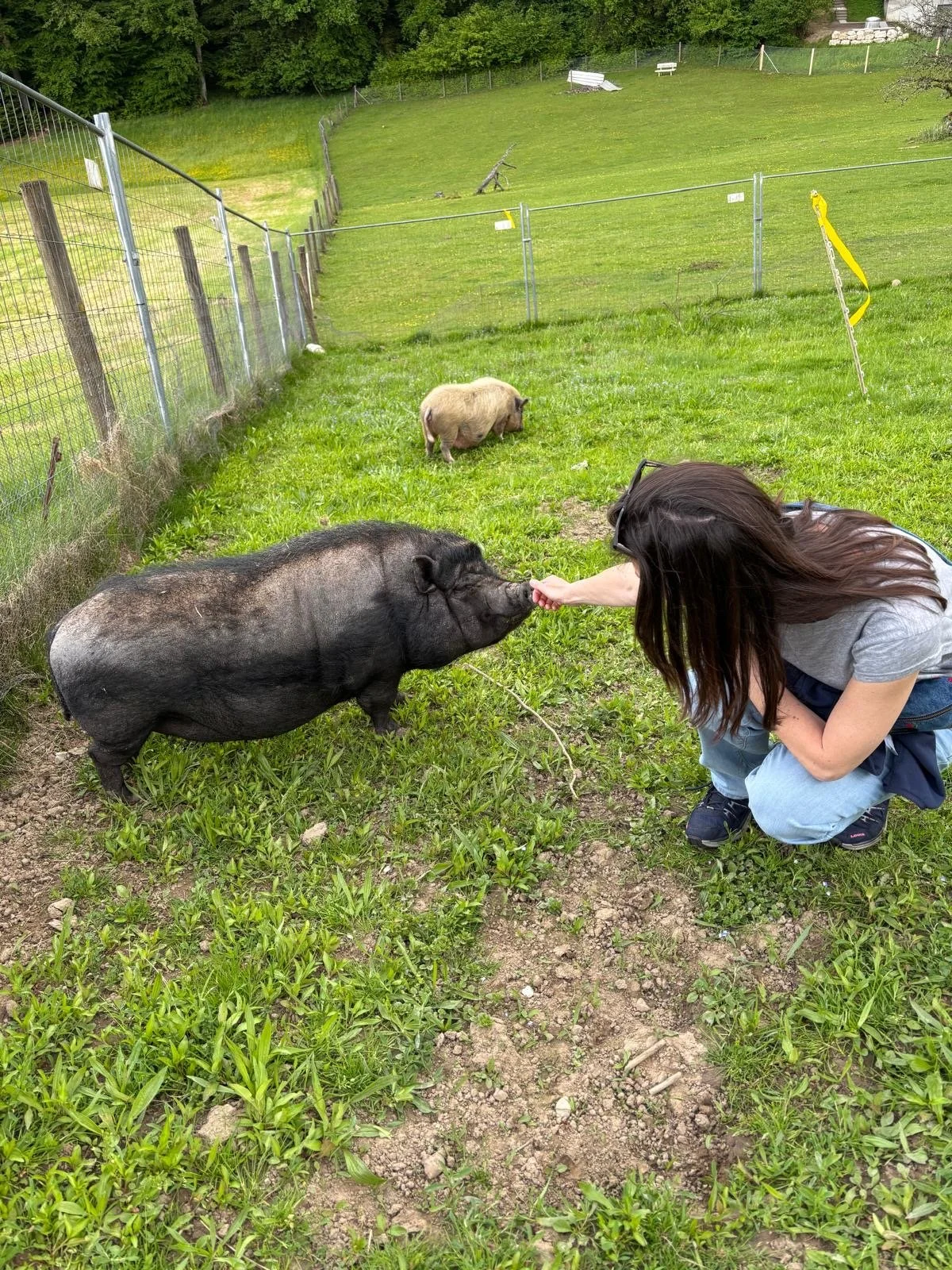 b56e1f18-8157-468b-ba46-9a7fd12b9e34 2.JPG