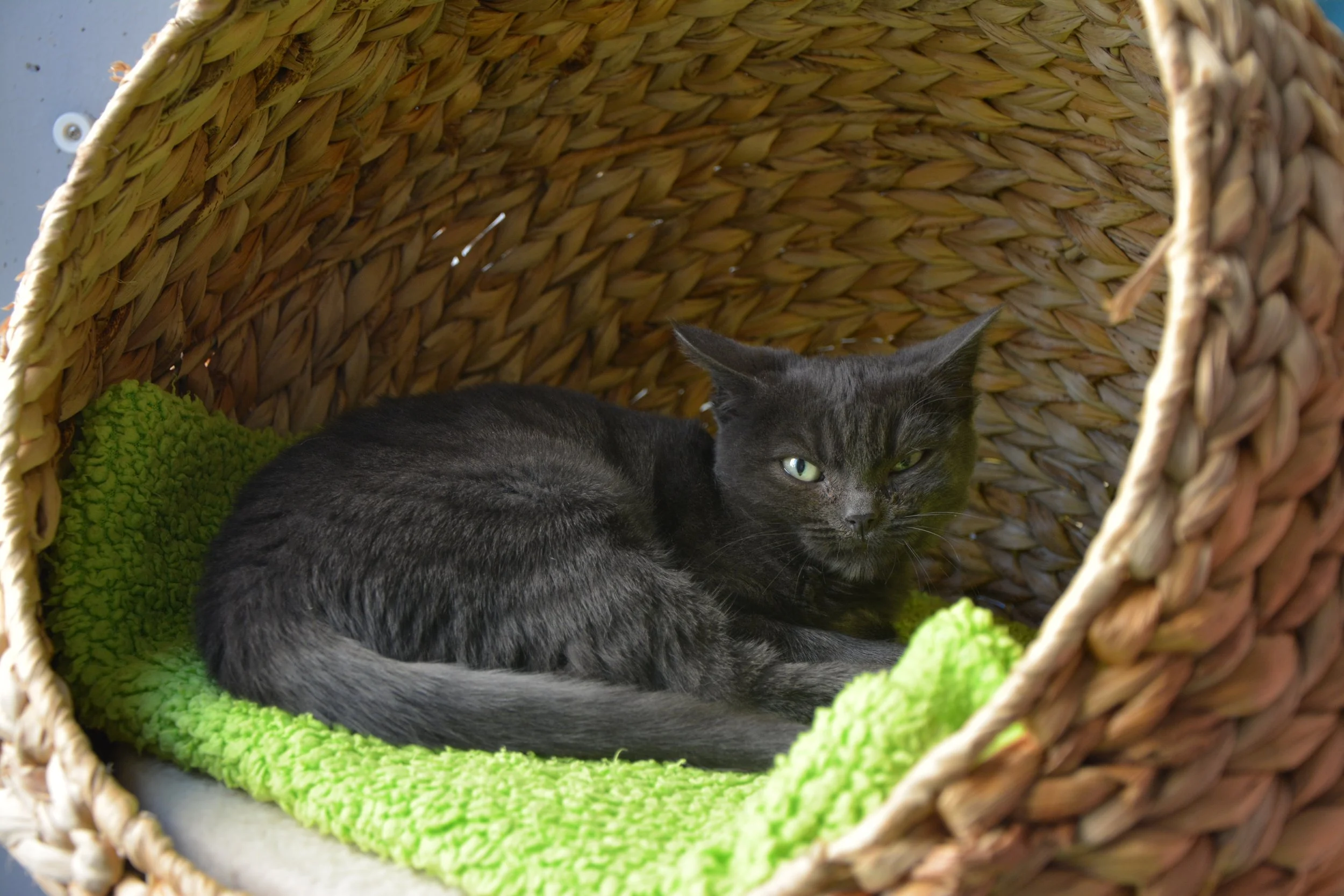 DSC_3368 Kopie.JPG