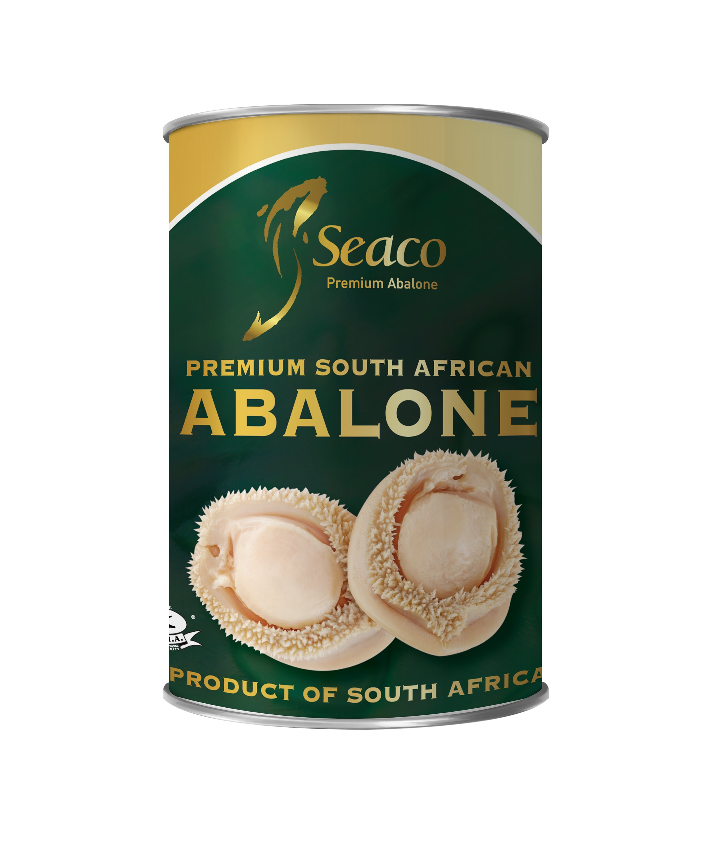 South African Abalone.jpg