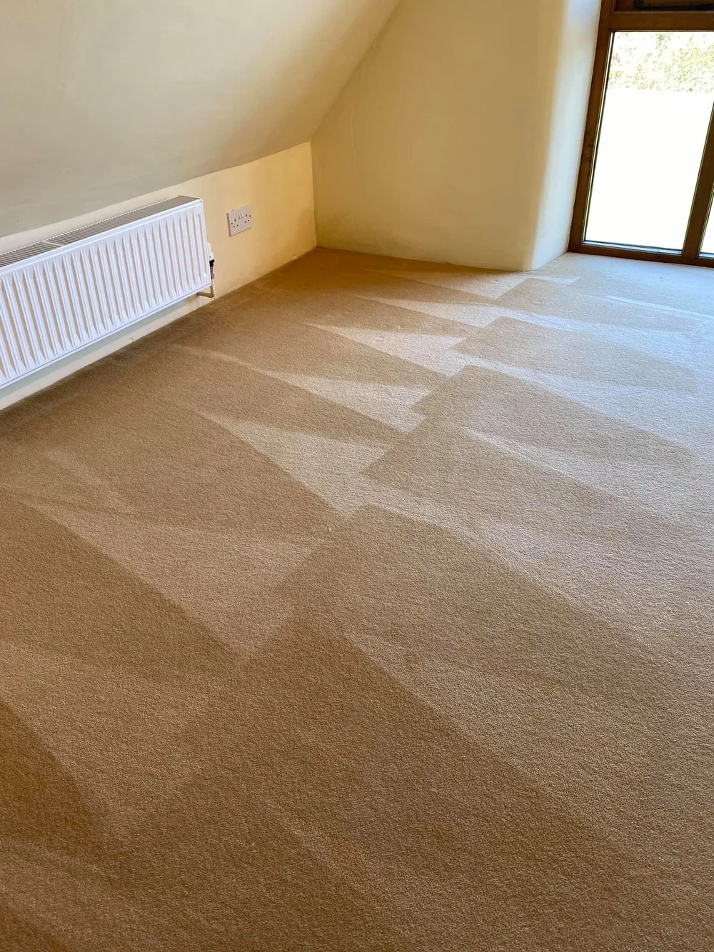 Carpet treatment and protection covering Taunton & Somerset — Commando Cleaning