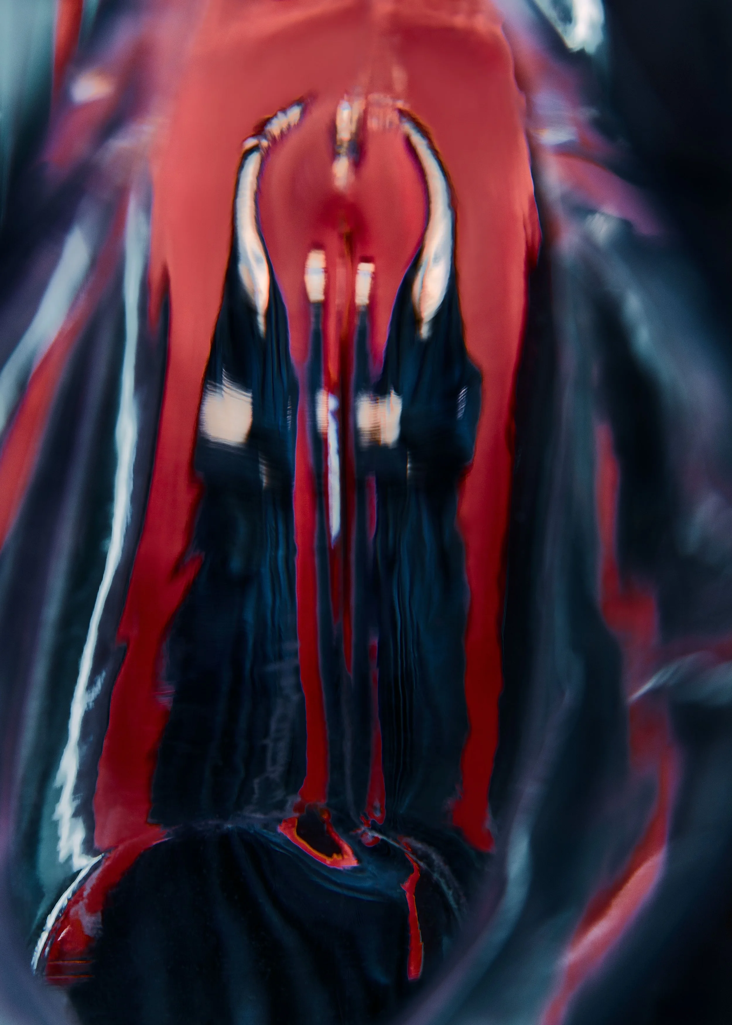 SW_230923_Ayham_Final_1 (1).jpg