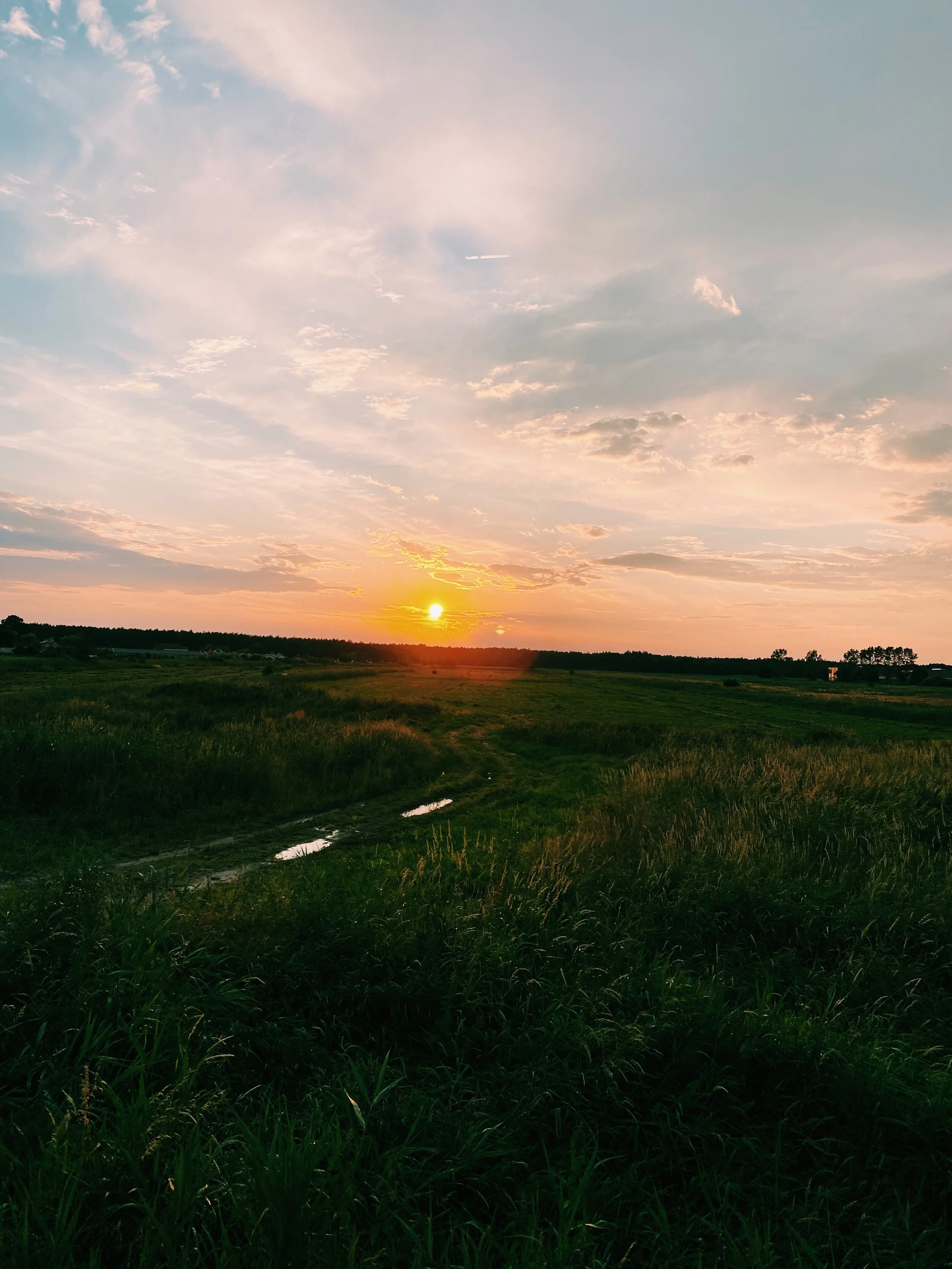 A7139BA0-40F6-47D8-8804-9FE66A9D52C0-2266E5AA-F8C9-4117-A674-235399F1DE99.jpeg