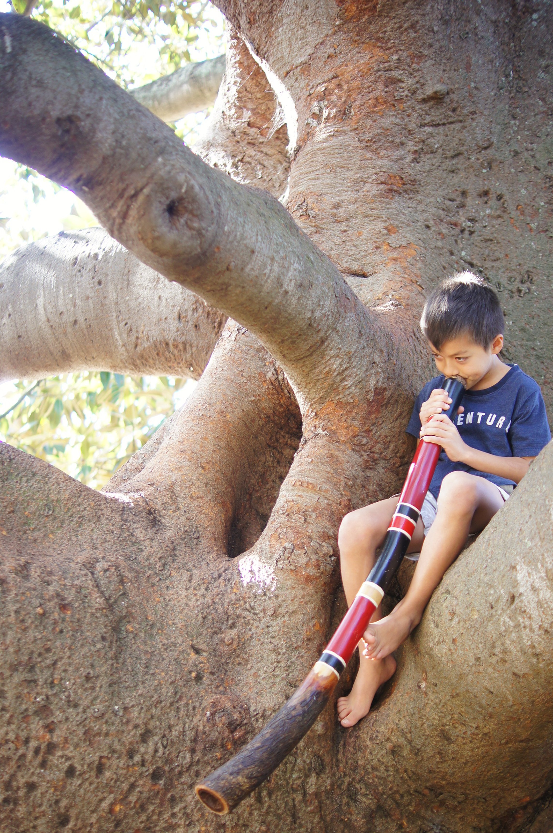 Histoire #5: Le Didgeridoo et Sanshi the Macaque Japonais Macaque (v1)