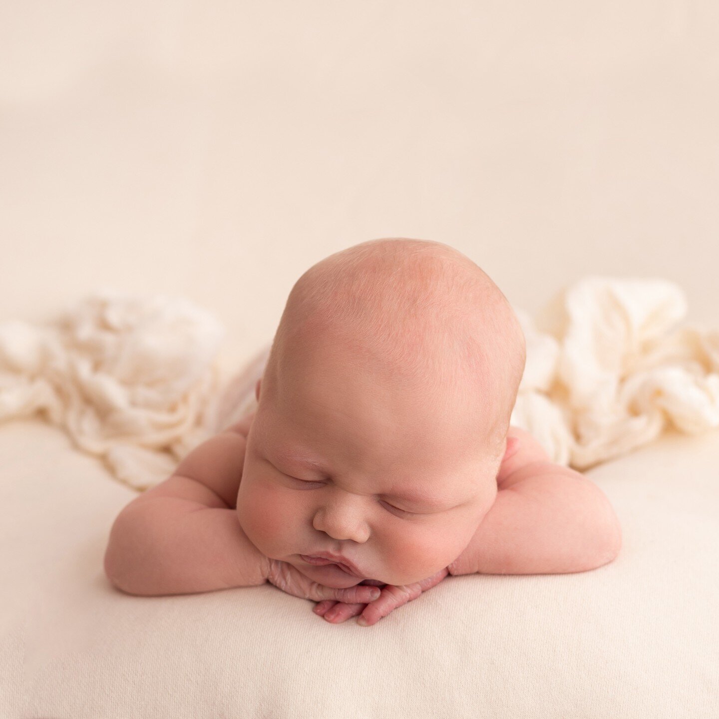 Sleepy babe ❤️

This pose will always have a special place in my heart, it's the very first pose I saw online and the one that made me want to learn the craft of newborn photography. It is the very first pose I ever taught myself and it's one that ha