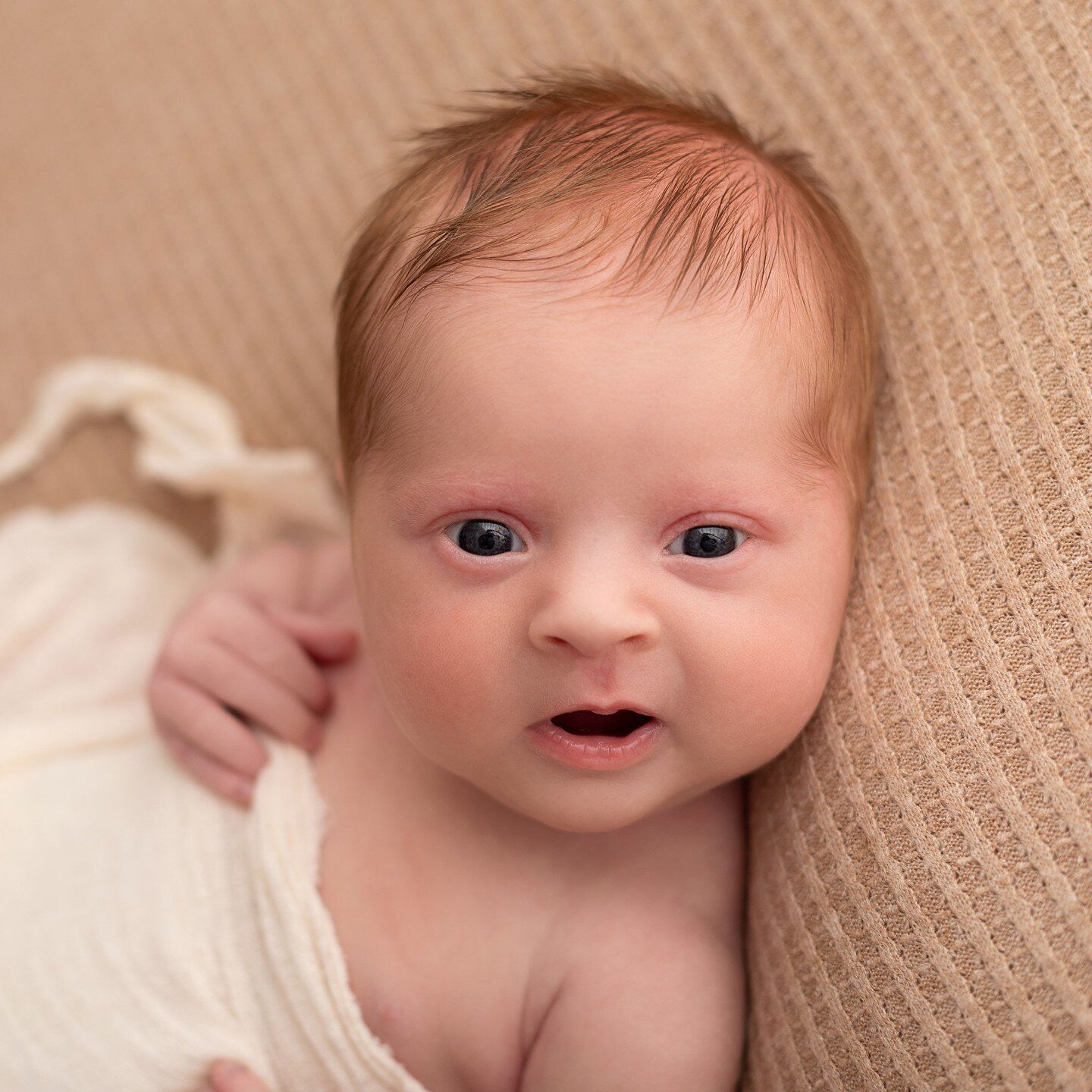 If you have ever had a newborn session with me you will know that a lot of the time during the session baby will be sleeping, But, I always tell my parents not to panic, baby is fine to have a little awake time during their session with me. Because l
