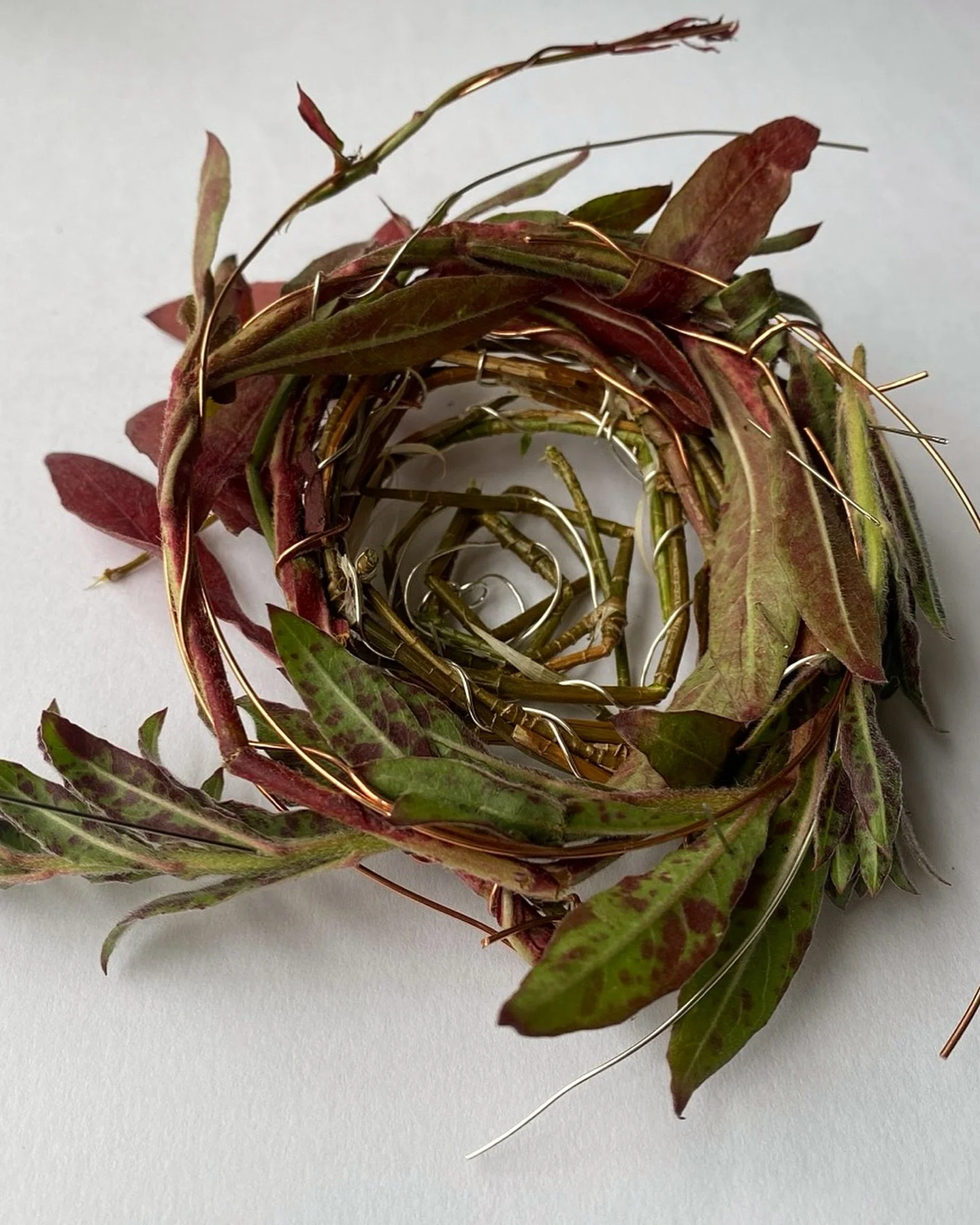 &ldquo;Hostile&rdquo; 2024 🪹
A piece I created after reading papers on the connections between architecture and therapy. I made the nest by weaving together metal and wood. It helped me consider systems in conflict and competition with one another a