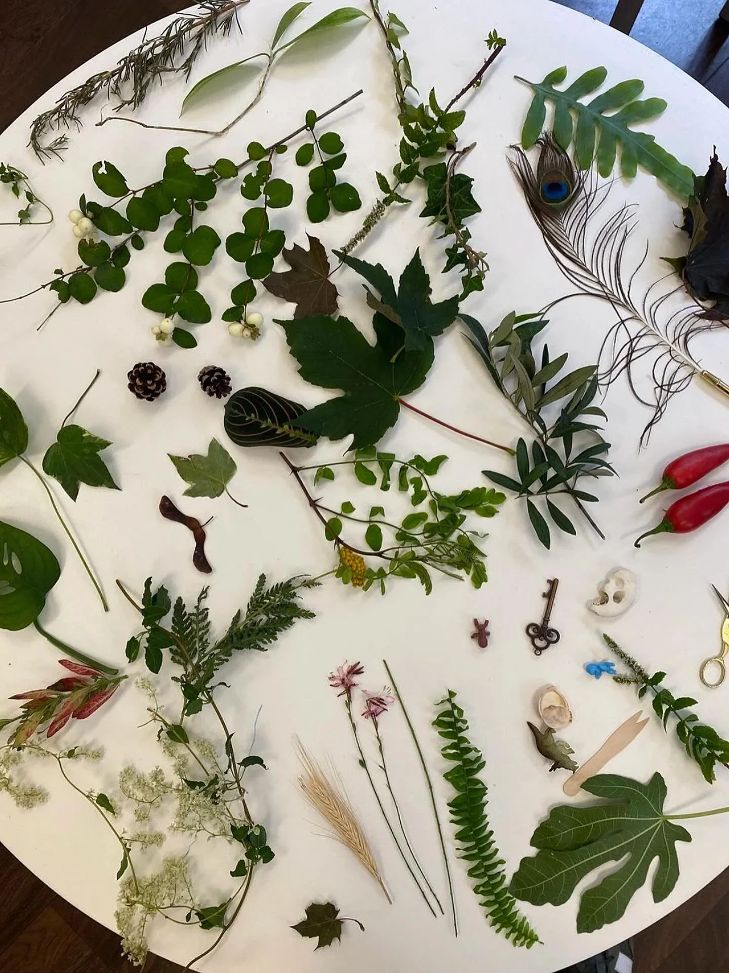 Materials in art therapy can also include natural and found objects.

&ldquo;We insert into narratives of the ground, the discarded and the second hand, aspects of our personality, gender, glass, ethnicity and culture, our sense of home, age and stag