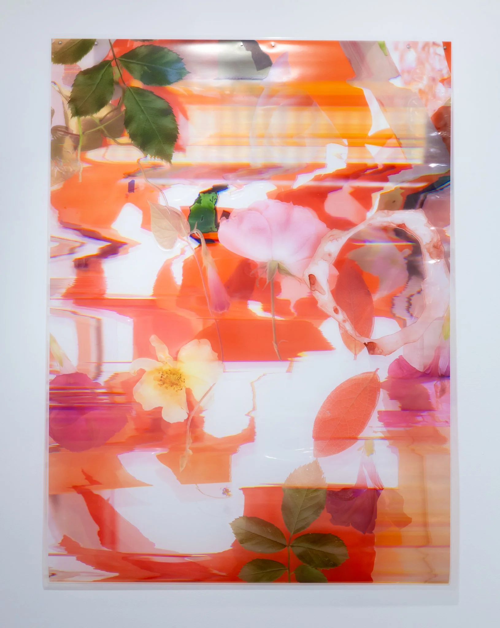 Regan Golden HU 2026-113.jpg