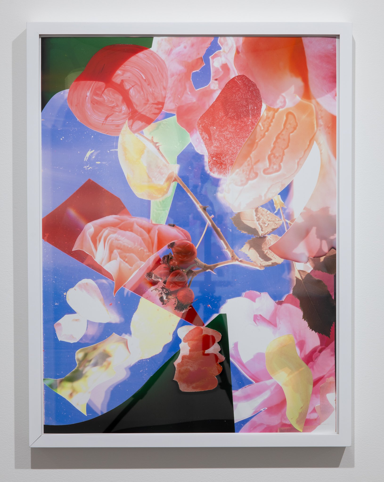 Regan Golden HU 2026-111.jpg