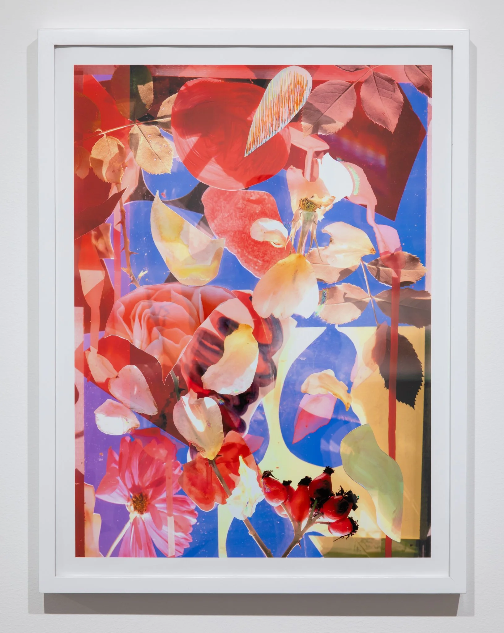 Regan Golden HU 2026-112.jpg