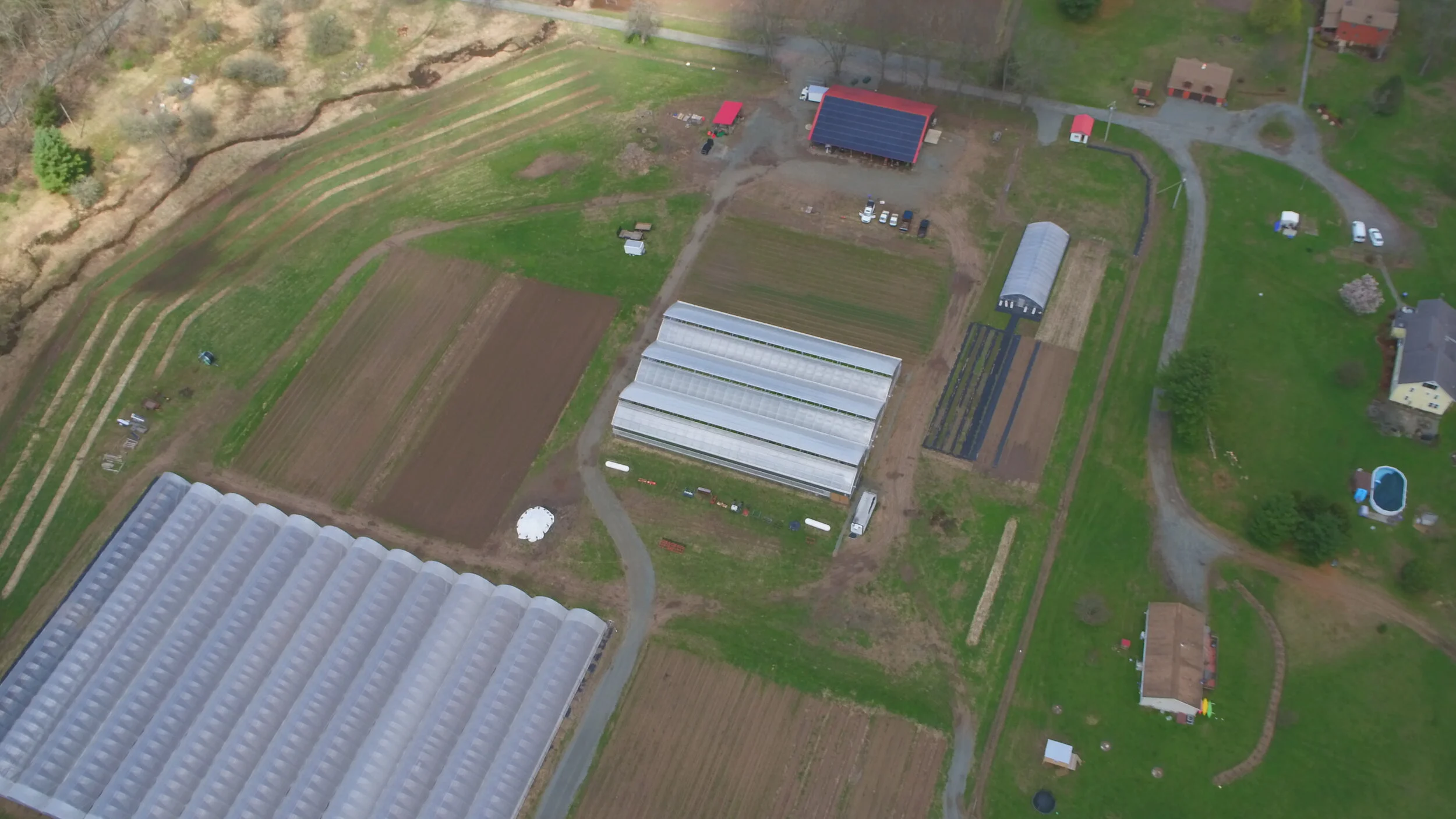 WillowWisp photo.JPG