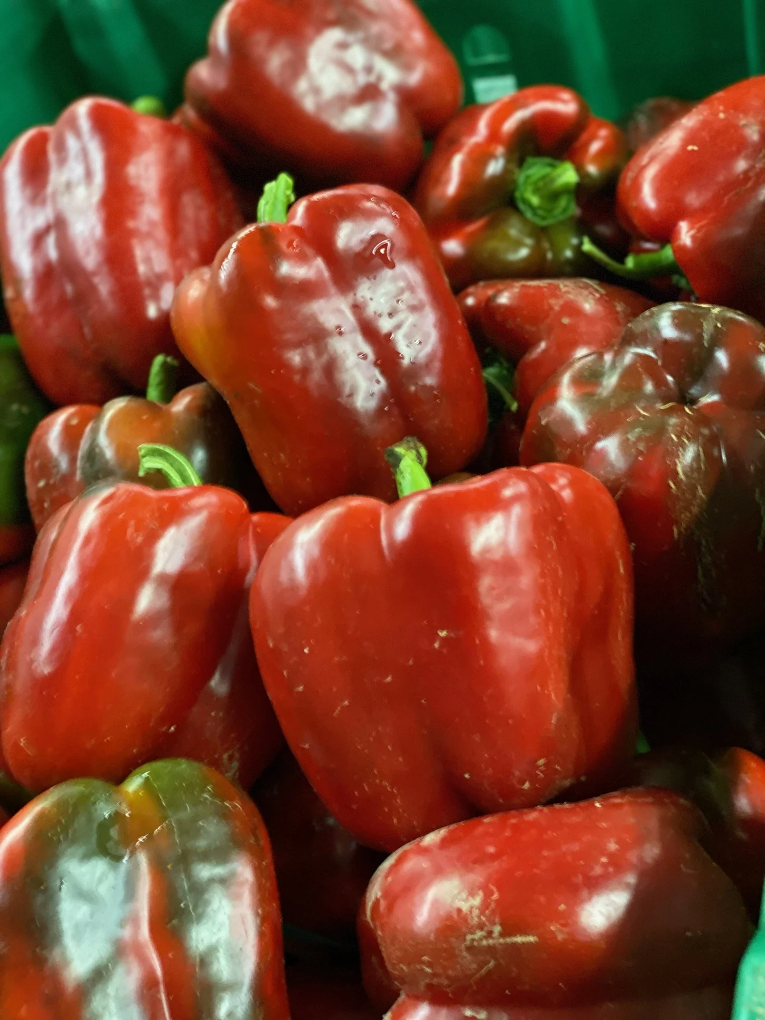 Red Bell Pepper - HALF BUSHEL