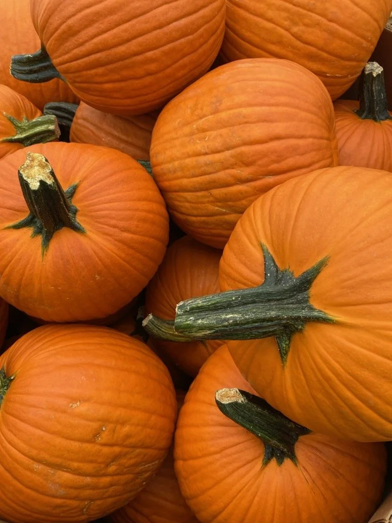 Pumpkin