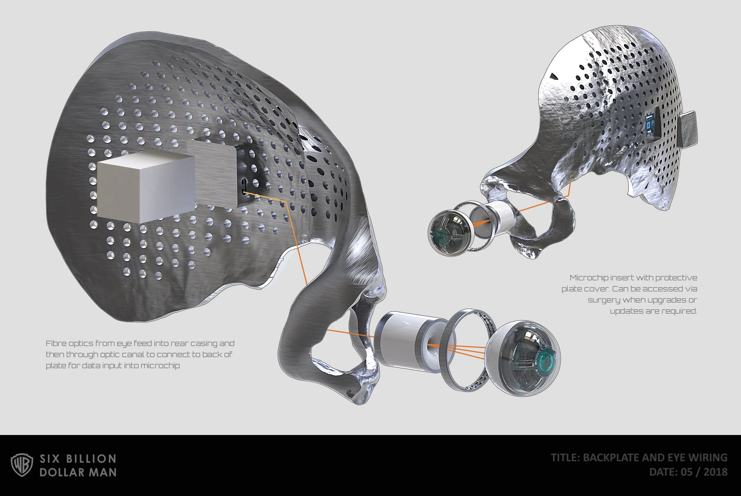 BACKPLATE AND EYE WIRING_2_LOGO.jpg