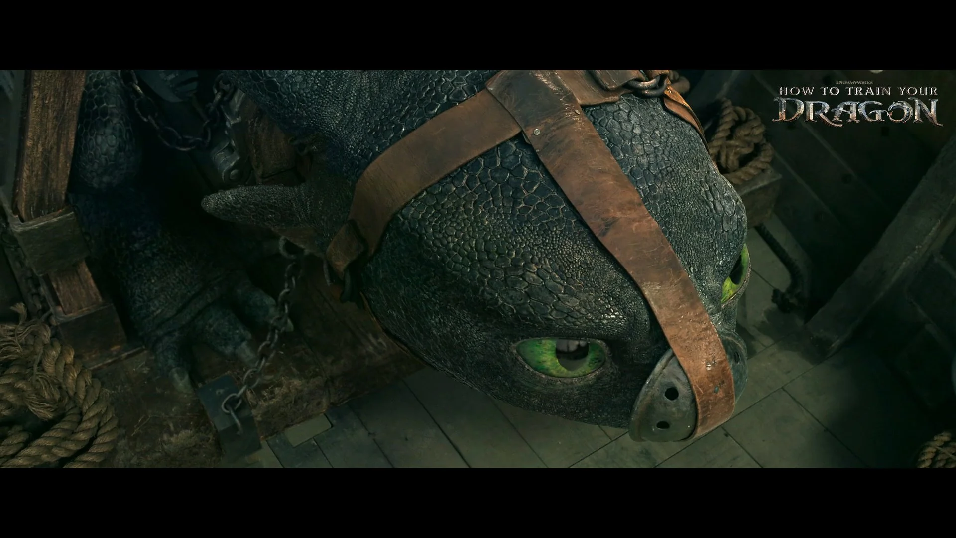 HTTYD_STILL 2.jpg