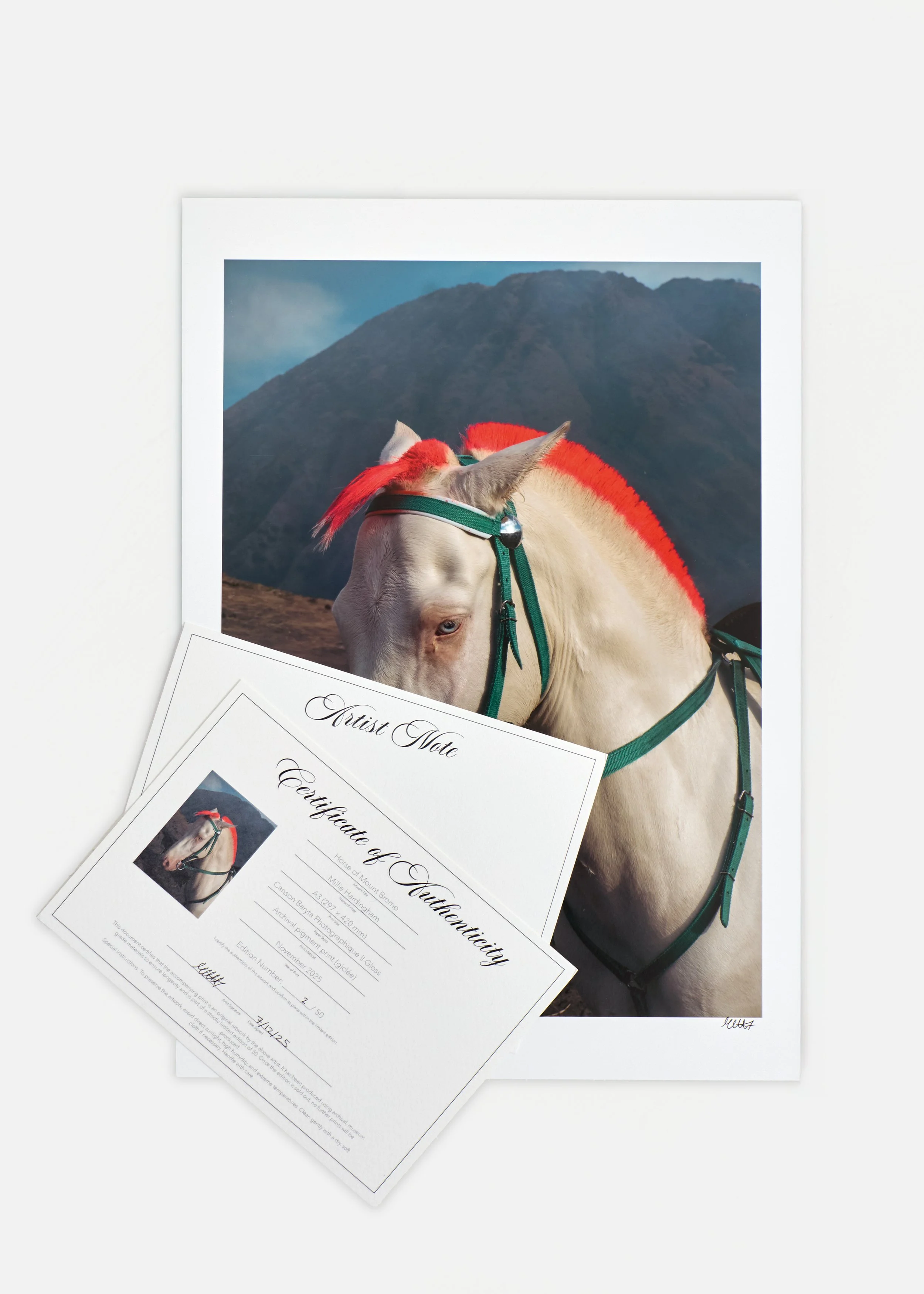 Horse_ecom_1.jpg