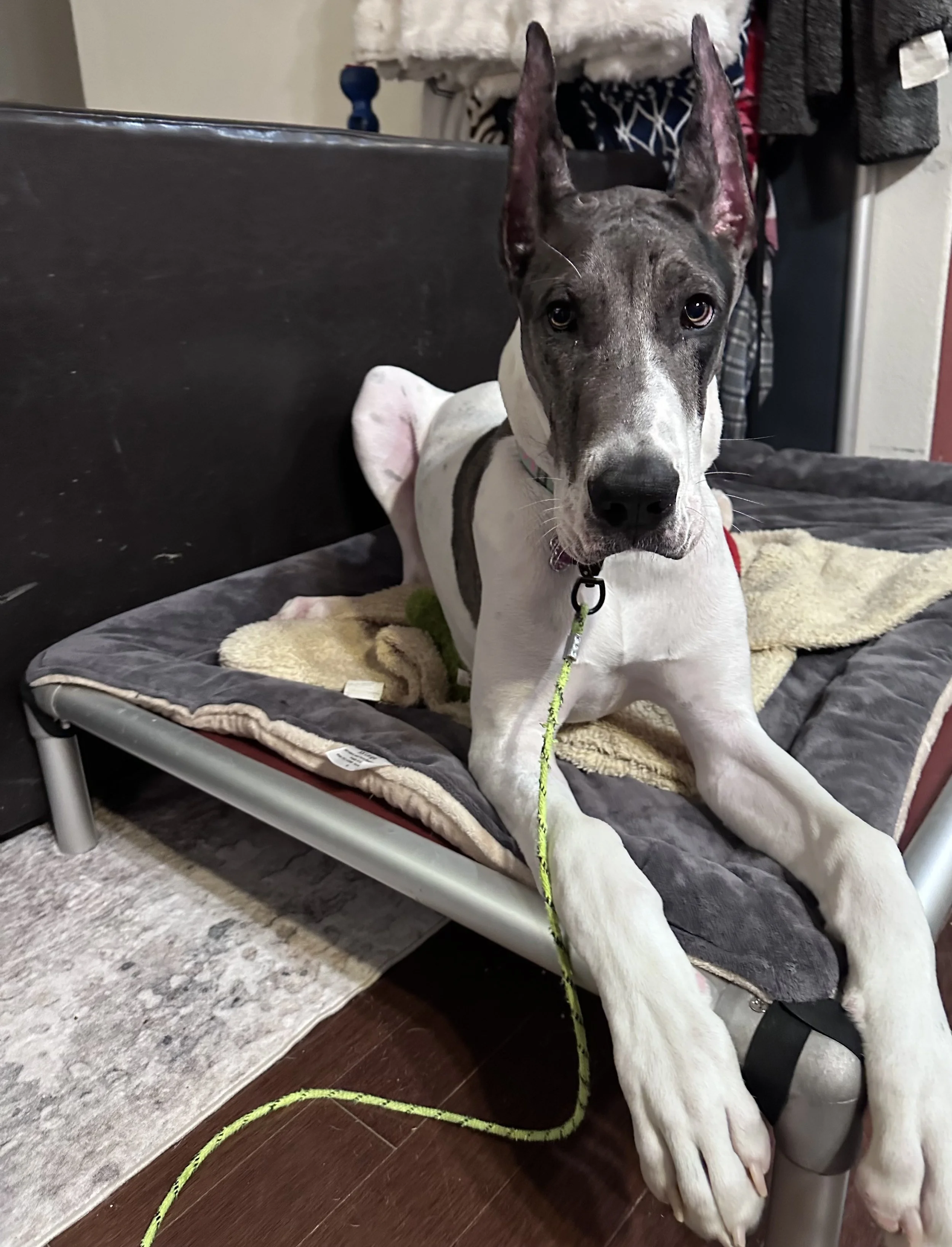 Ravilio at 6 months old