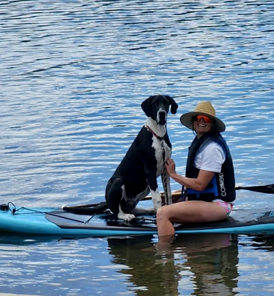 Dolly at 6 months old, learning to paddle board❤️