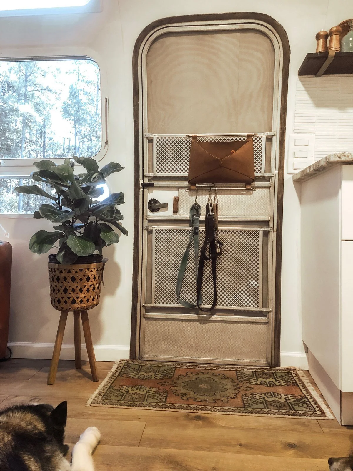 Things I love: vintage rug, light wood floors, plant, dog