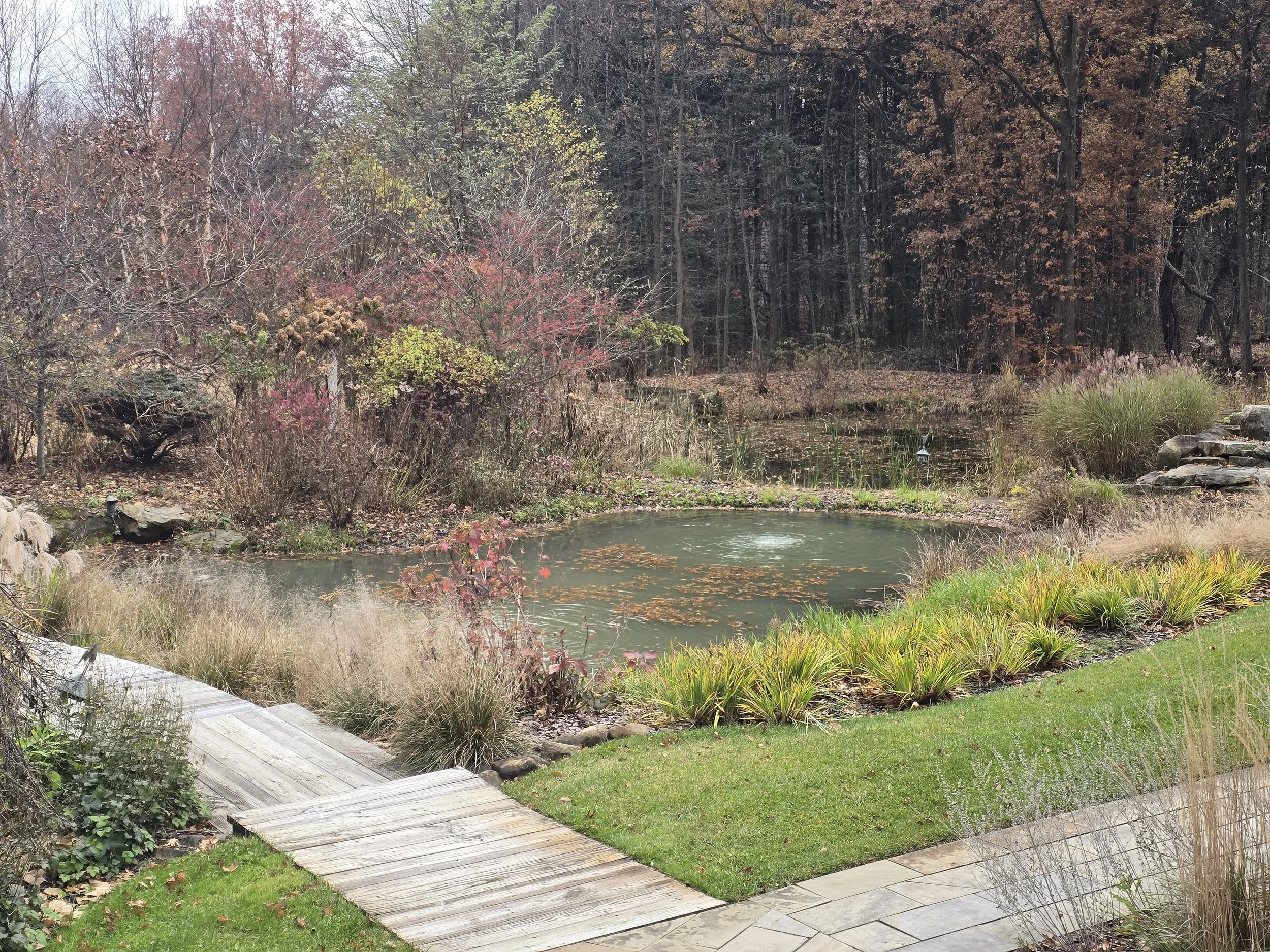 20251115_124121.jpg