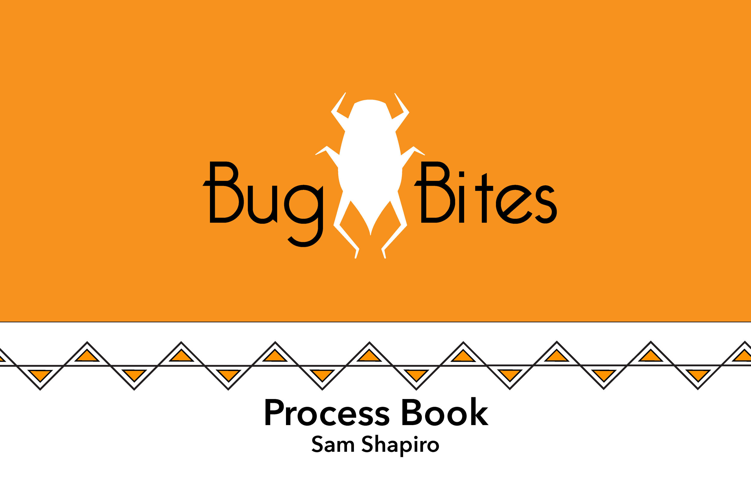 Process Book