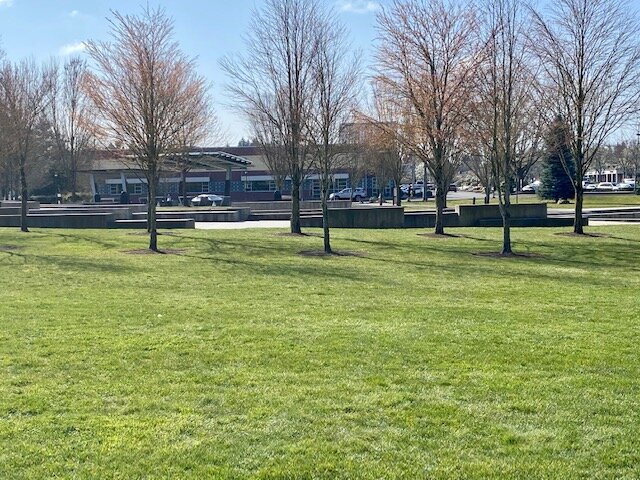 Town Center Park Fountain