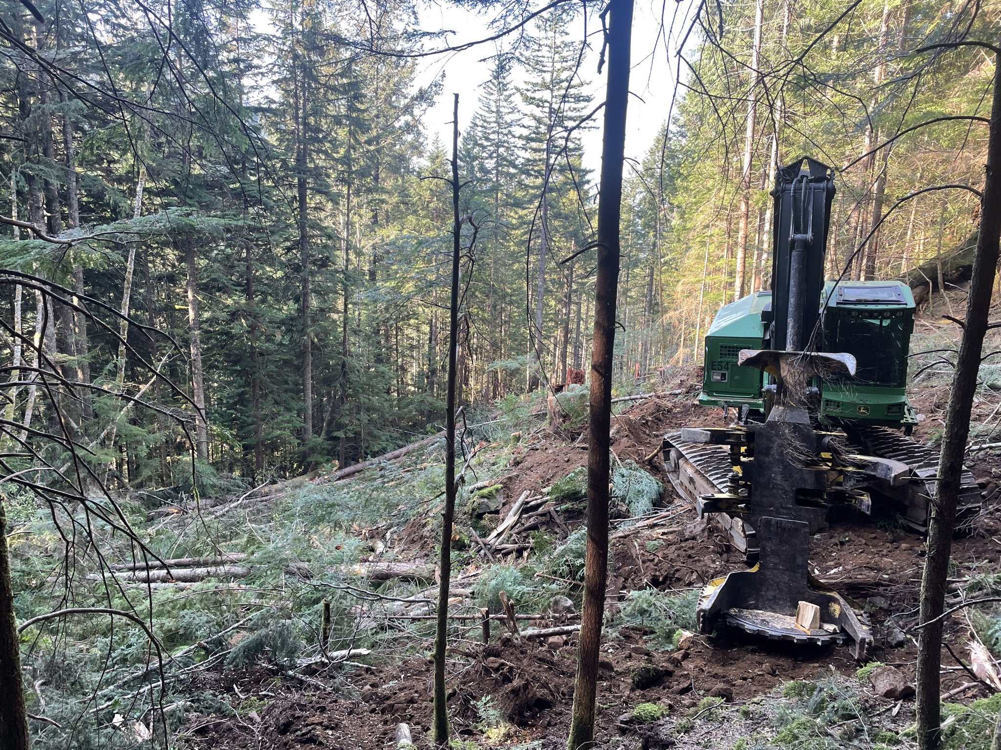 logging and land clearing quadra island