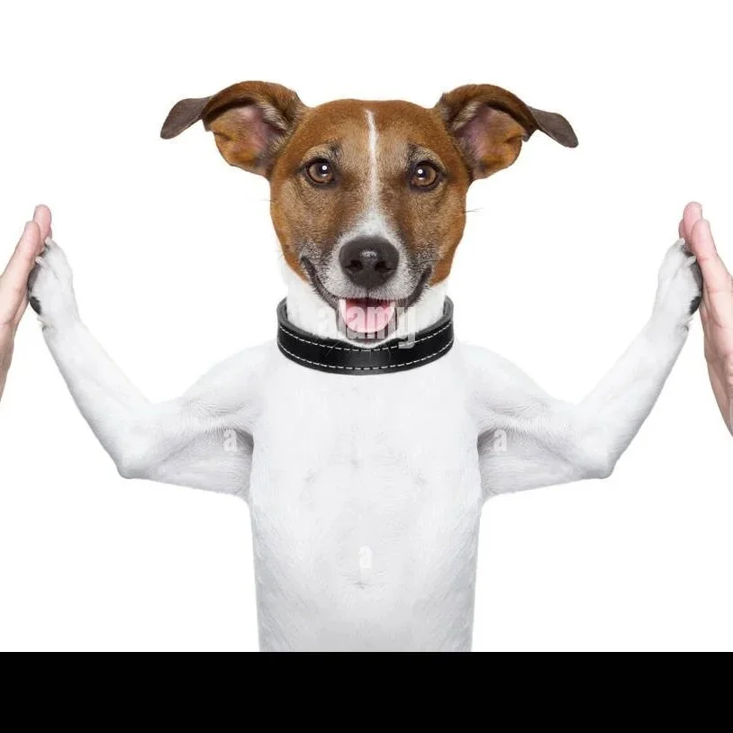 Gimme 5! Open Mic Comedy and Game Show Night with your host Courtney Steeves