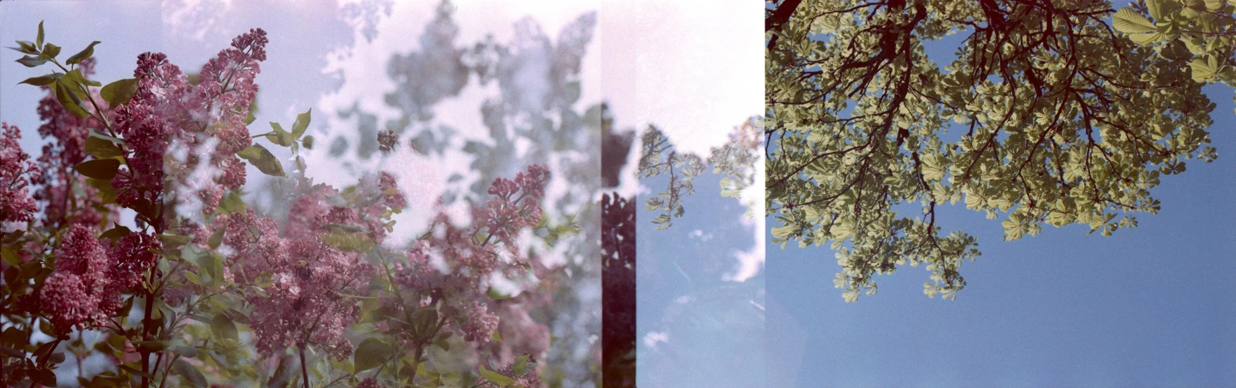 img007web.jpg