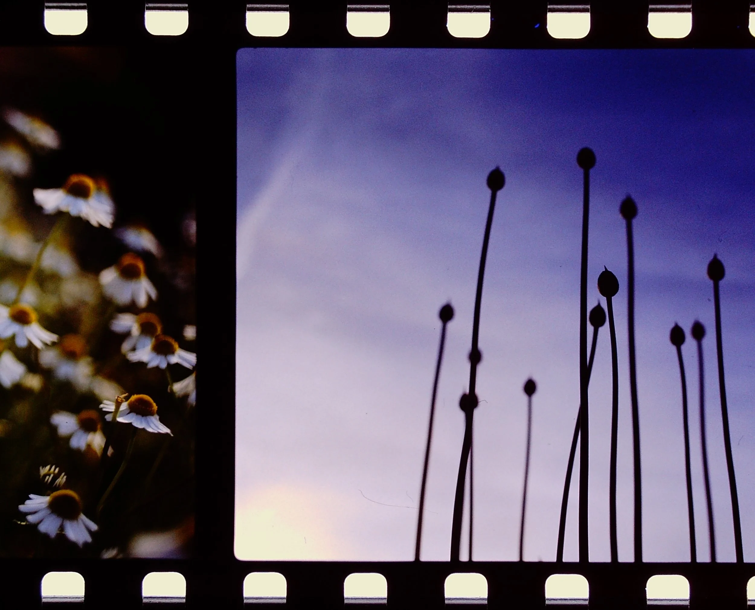 PICT0031.JPG