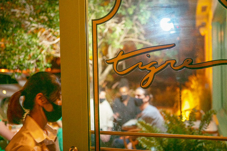 Tigre Opening.png