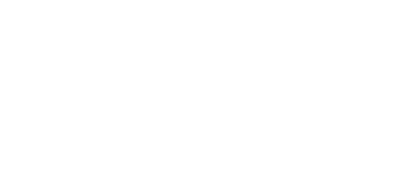 Raygun Agency