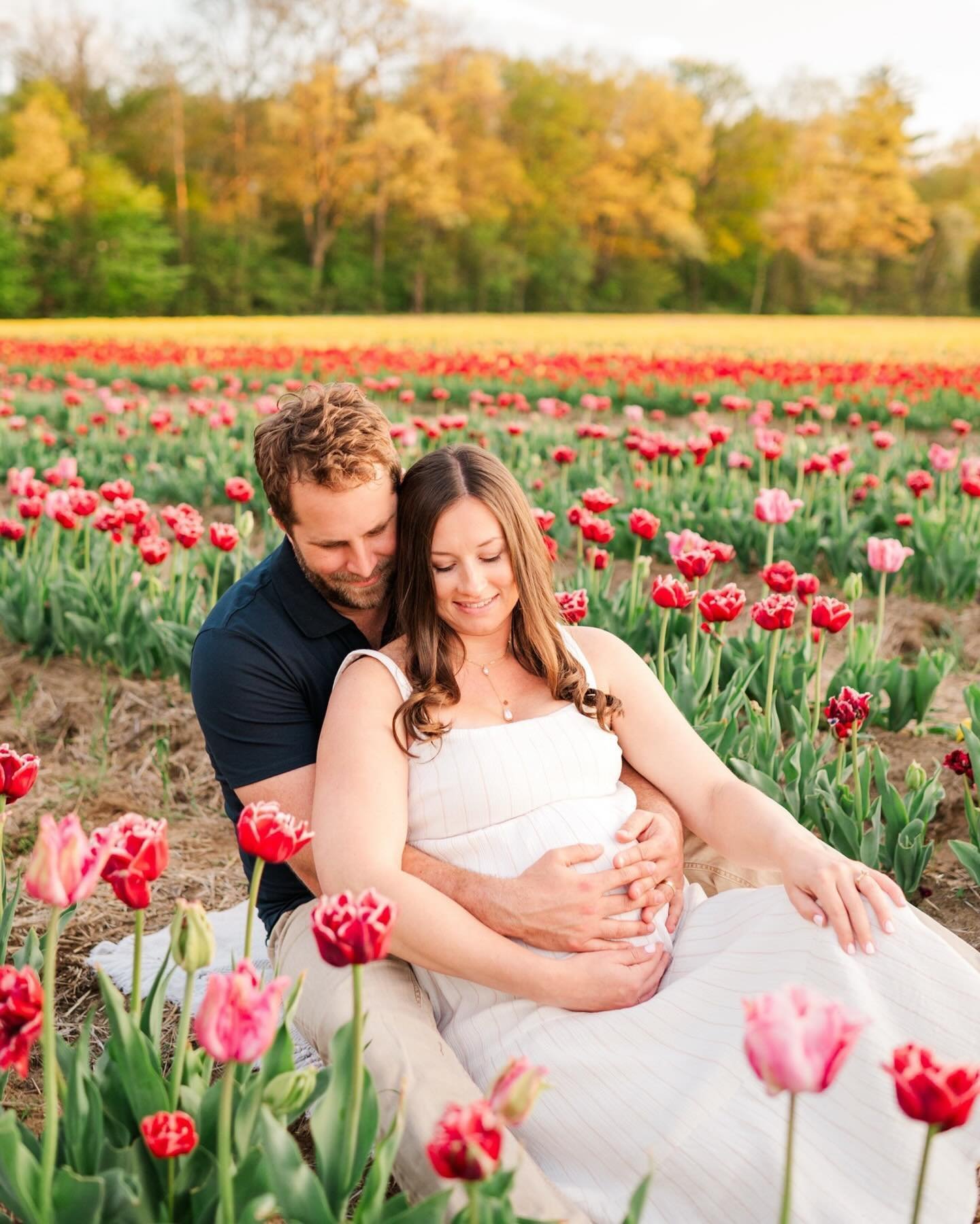 I am 😍 OBSESSED with Ashley + Gerad&rsquo;s tulip field maternity session at the beautiful @berkelbloem 🌷💕 

If you have the chance to go, check out the fields before the season&rsquo;s over&mdash;I highly recommend it! The owners are incredibly k