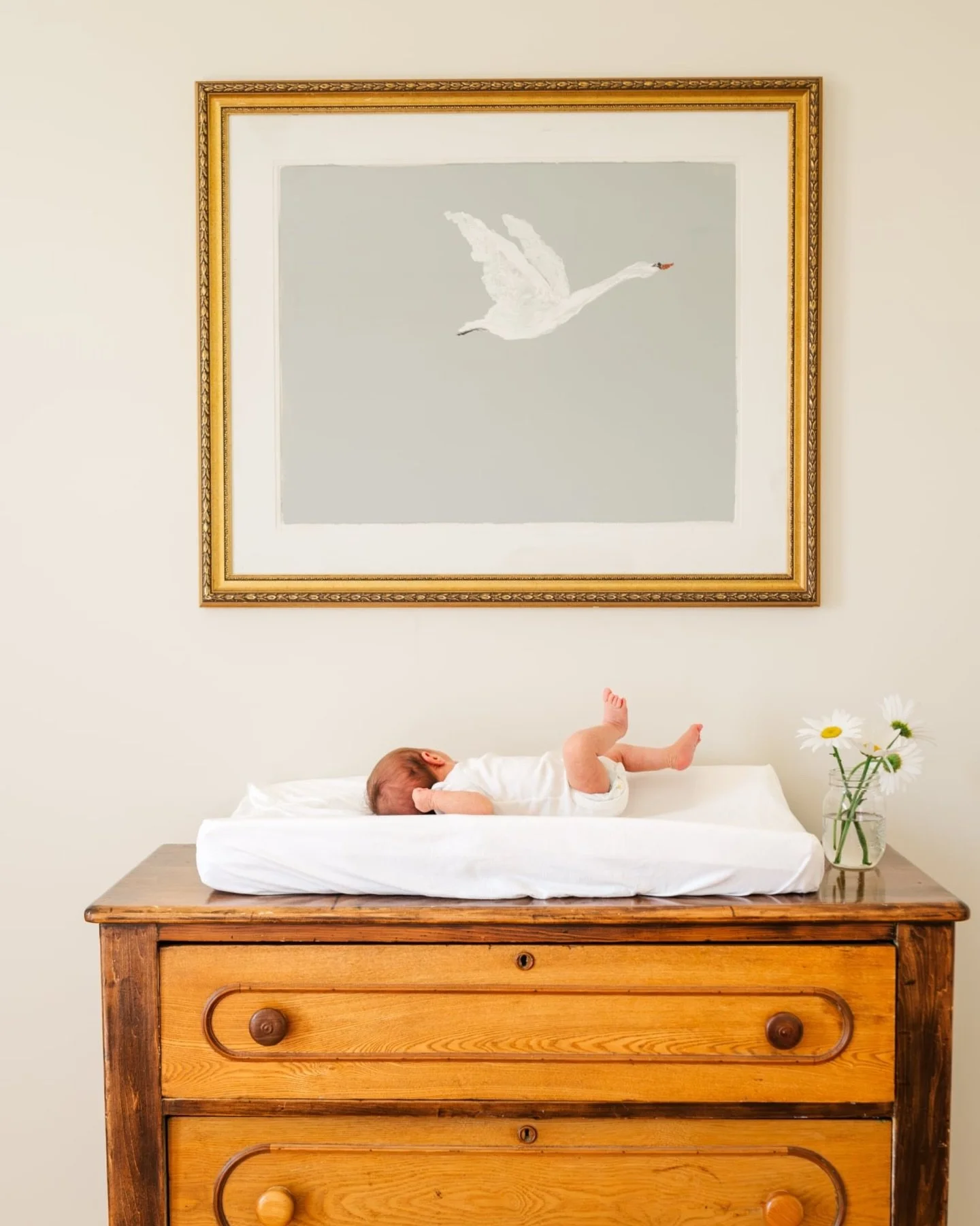 Baby Rose 🌹 

Had the sweetest newborn session with the DeCortes and some seriously cute moments with these proud big sisters 🩷