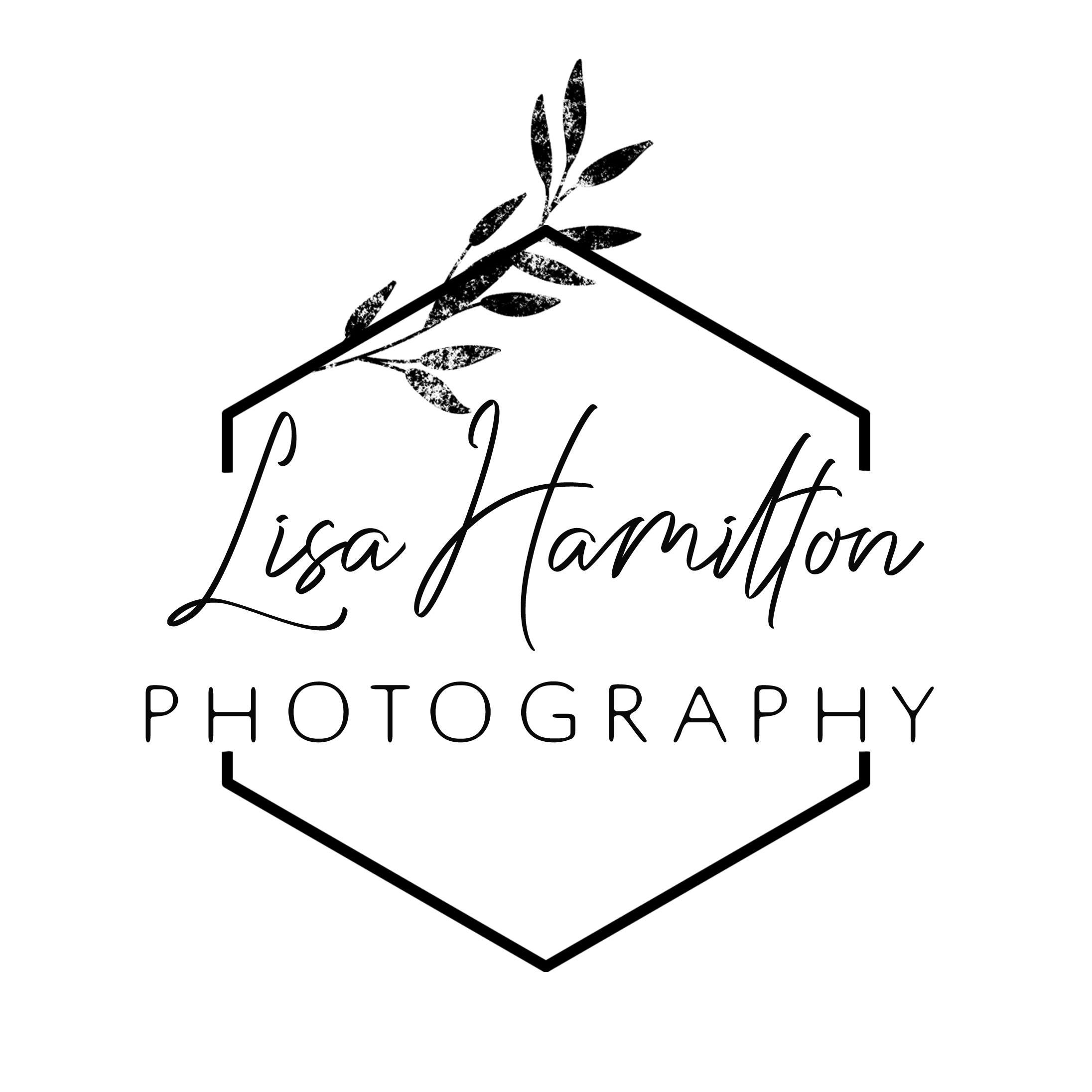 lisa hamilton photography geometric.png