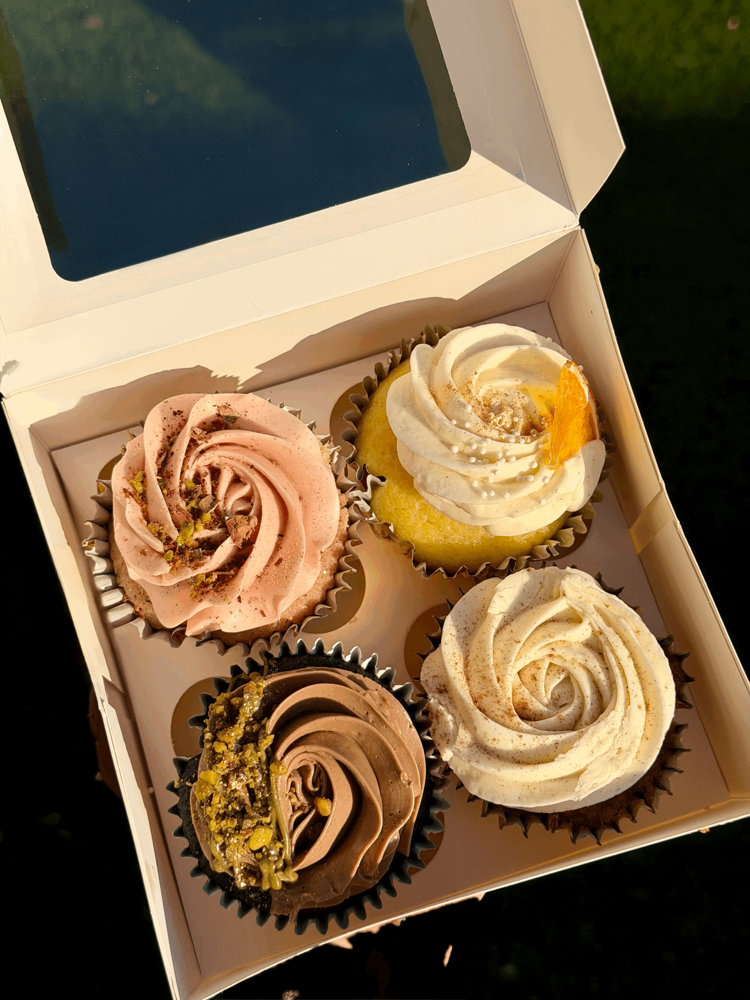 tempImageYDsRev.gif (Copy)